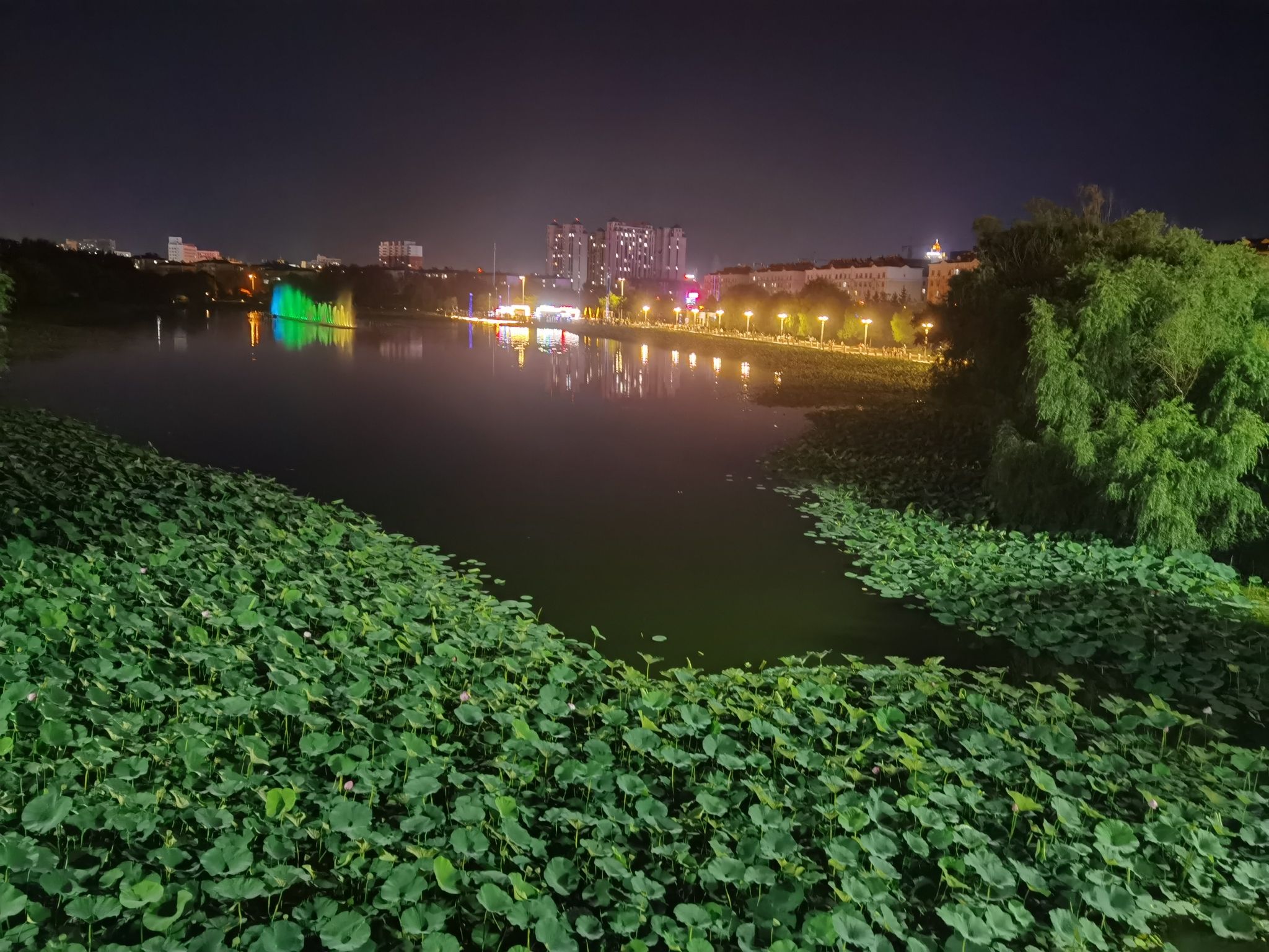幸福公园旅行图片 1