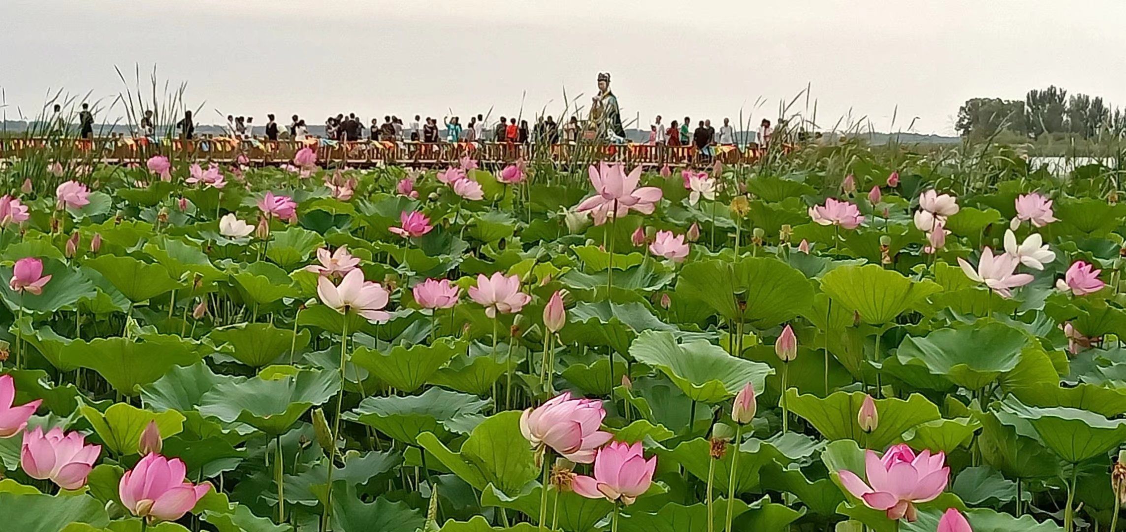 查干湖景区旅行图片 1