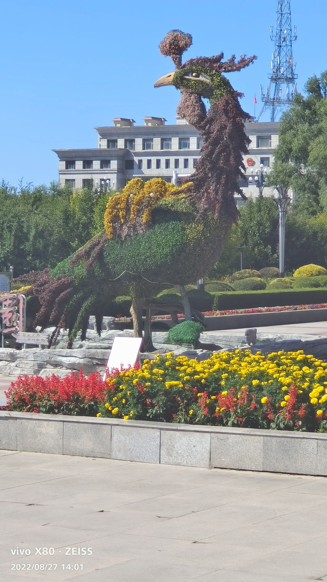 怡爽园旅行图片 2