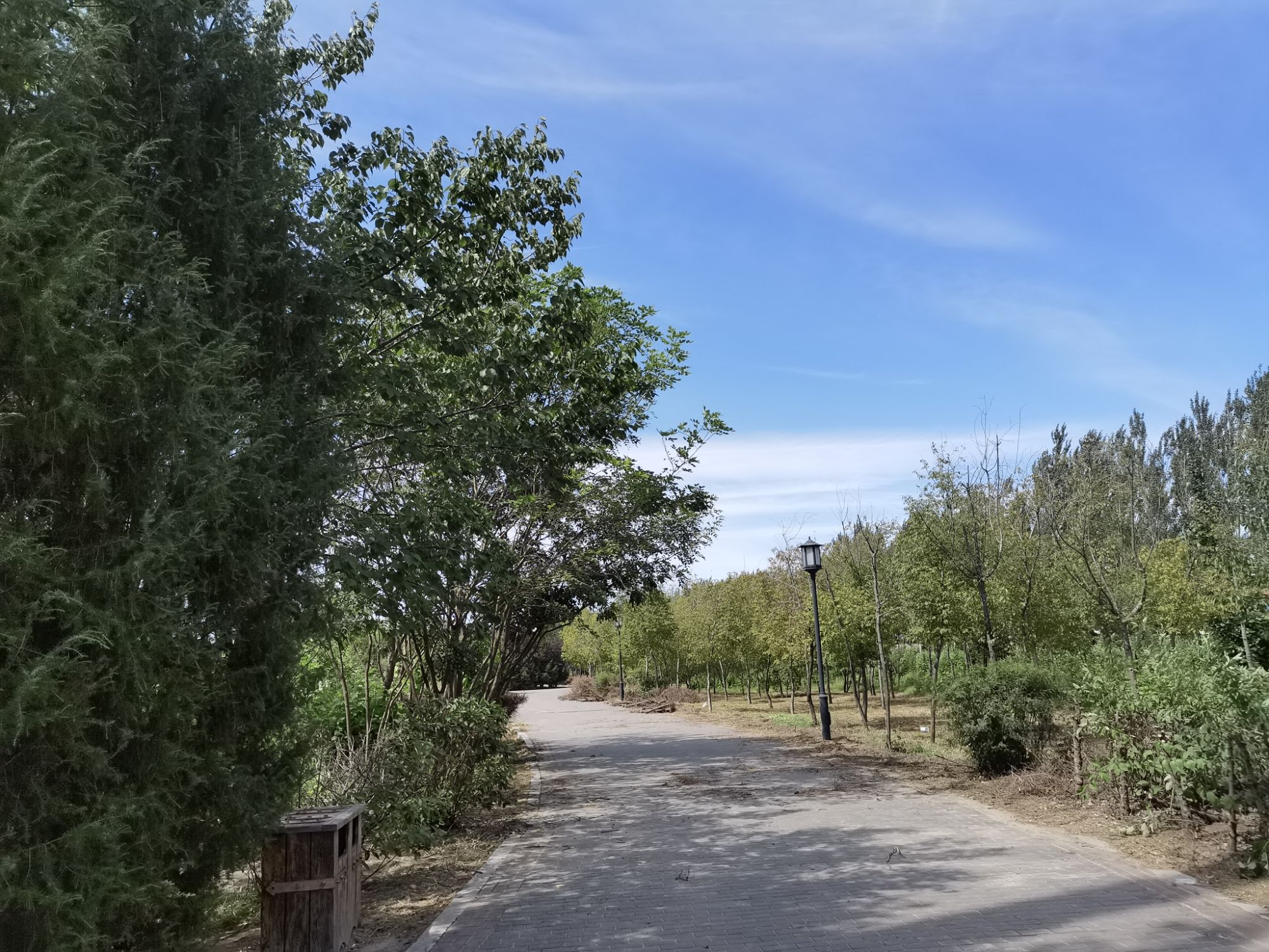 松花江森林公园旅行图片 1