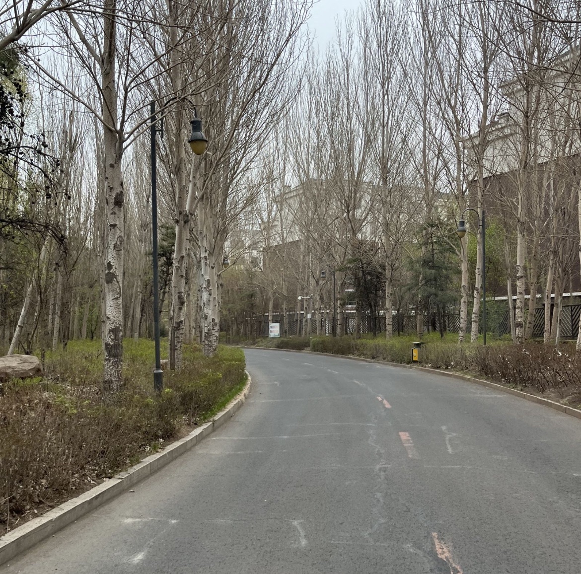 万福公园旅行图片 2