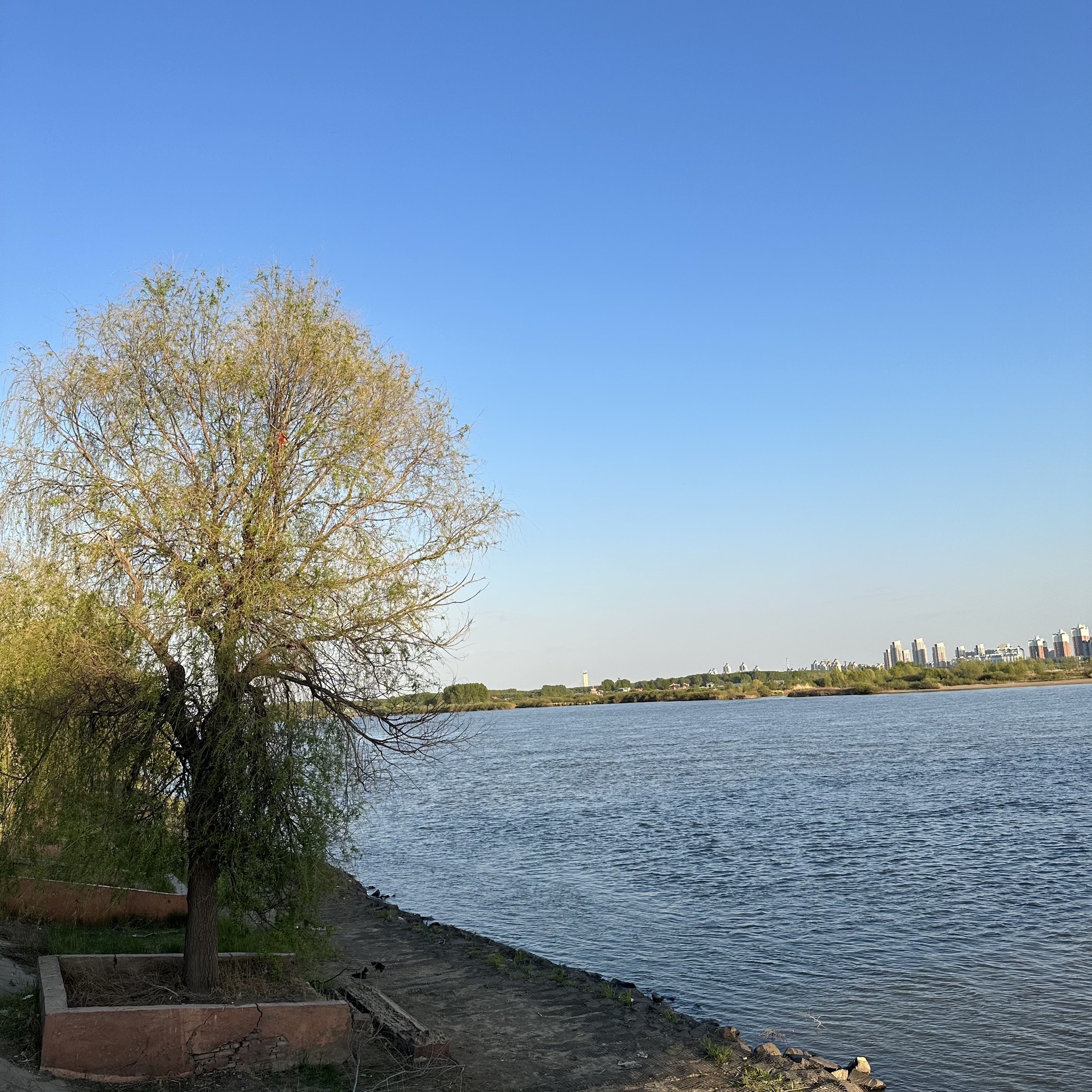 儿童公园旅行图片 3