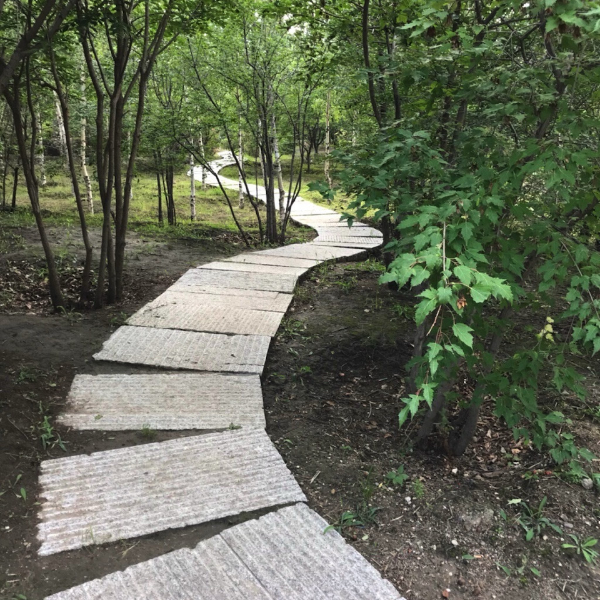扶余公园旅行图片 3