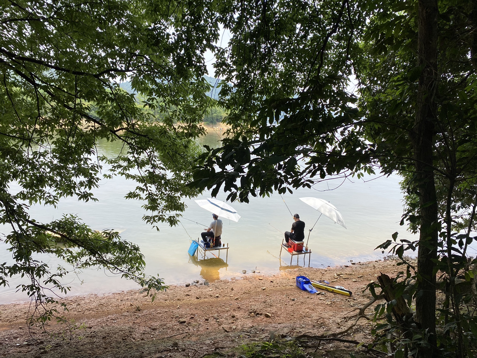 青山湖旅行图片 1