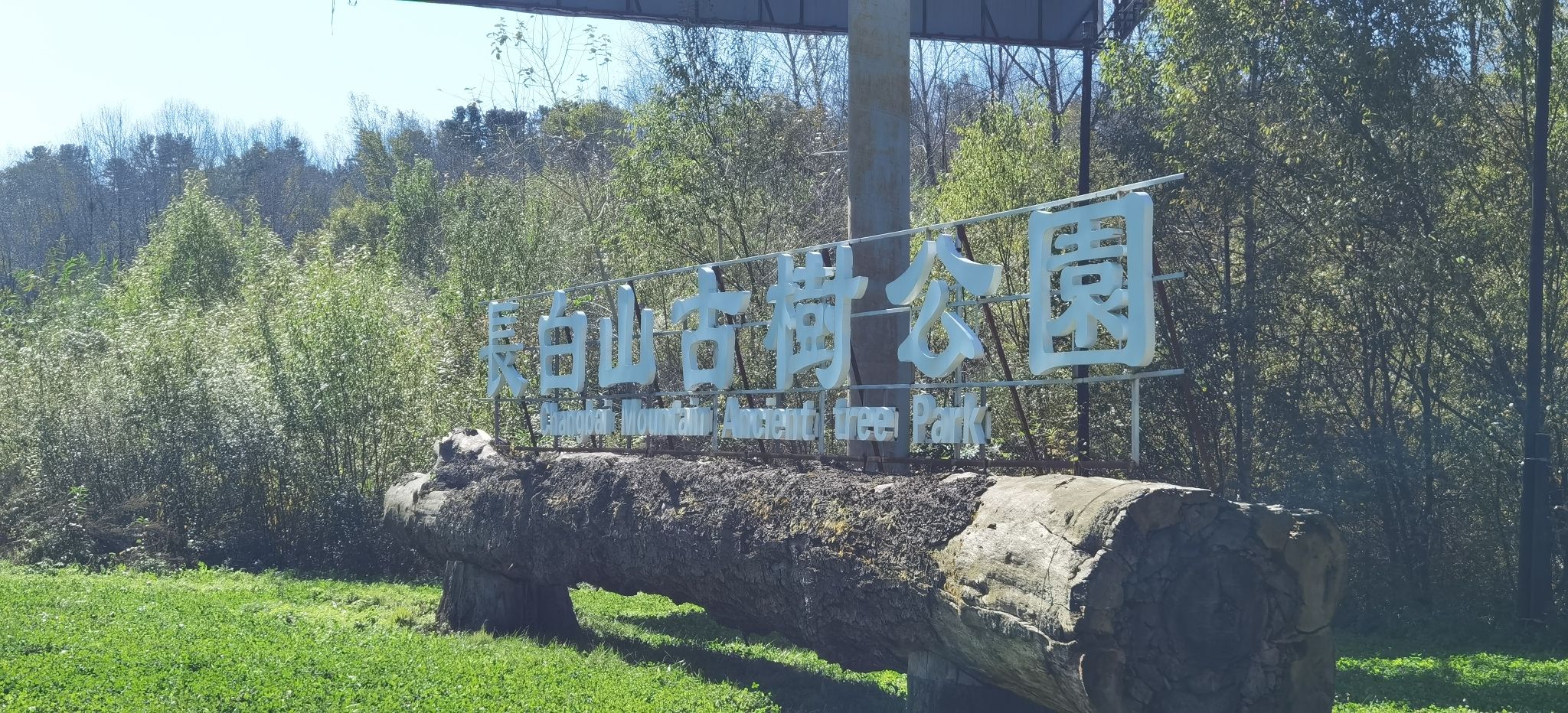 露水河国家森林公园旅行图片 1
