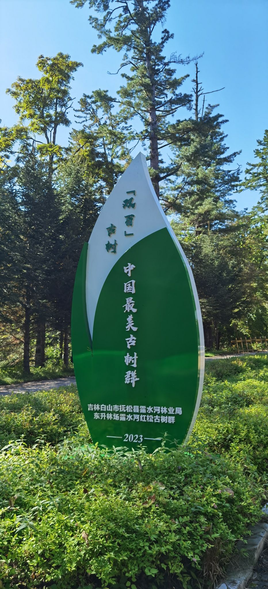 露水河国家森林公园旅行图片 2