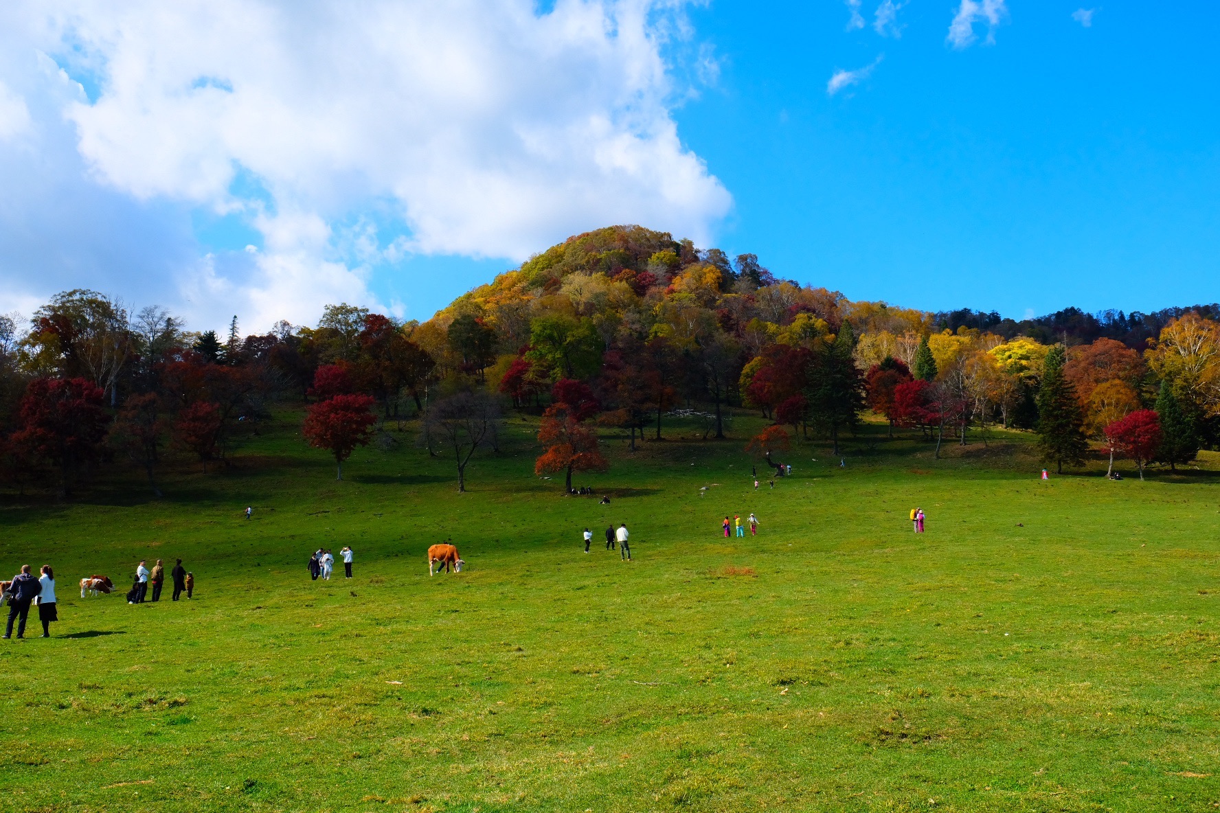 花山国家森林公园旅行图片 3