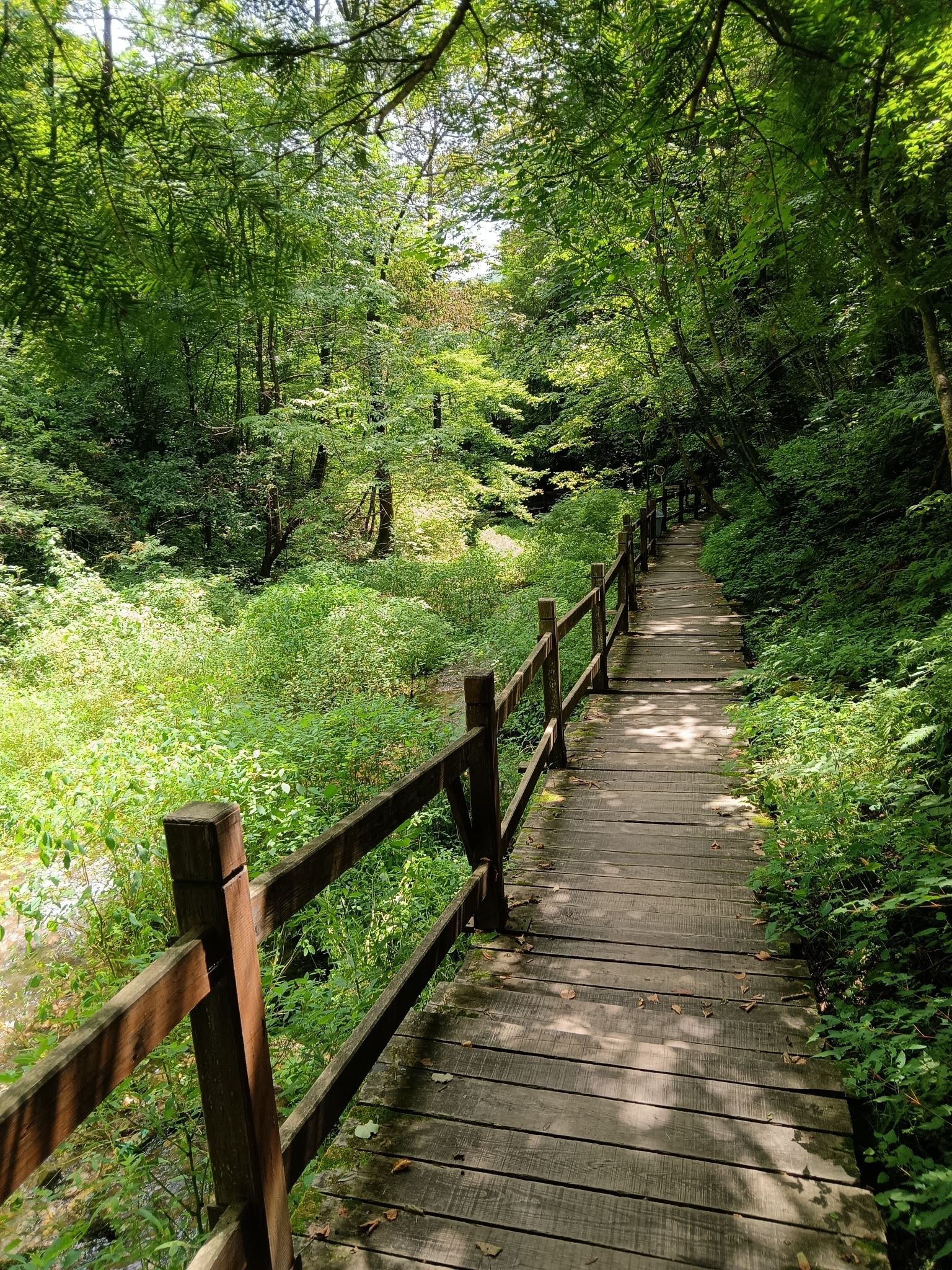 临江珍珠门风景区旅行图片 2