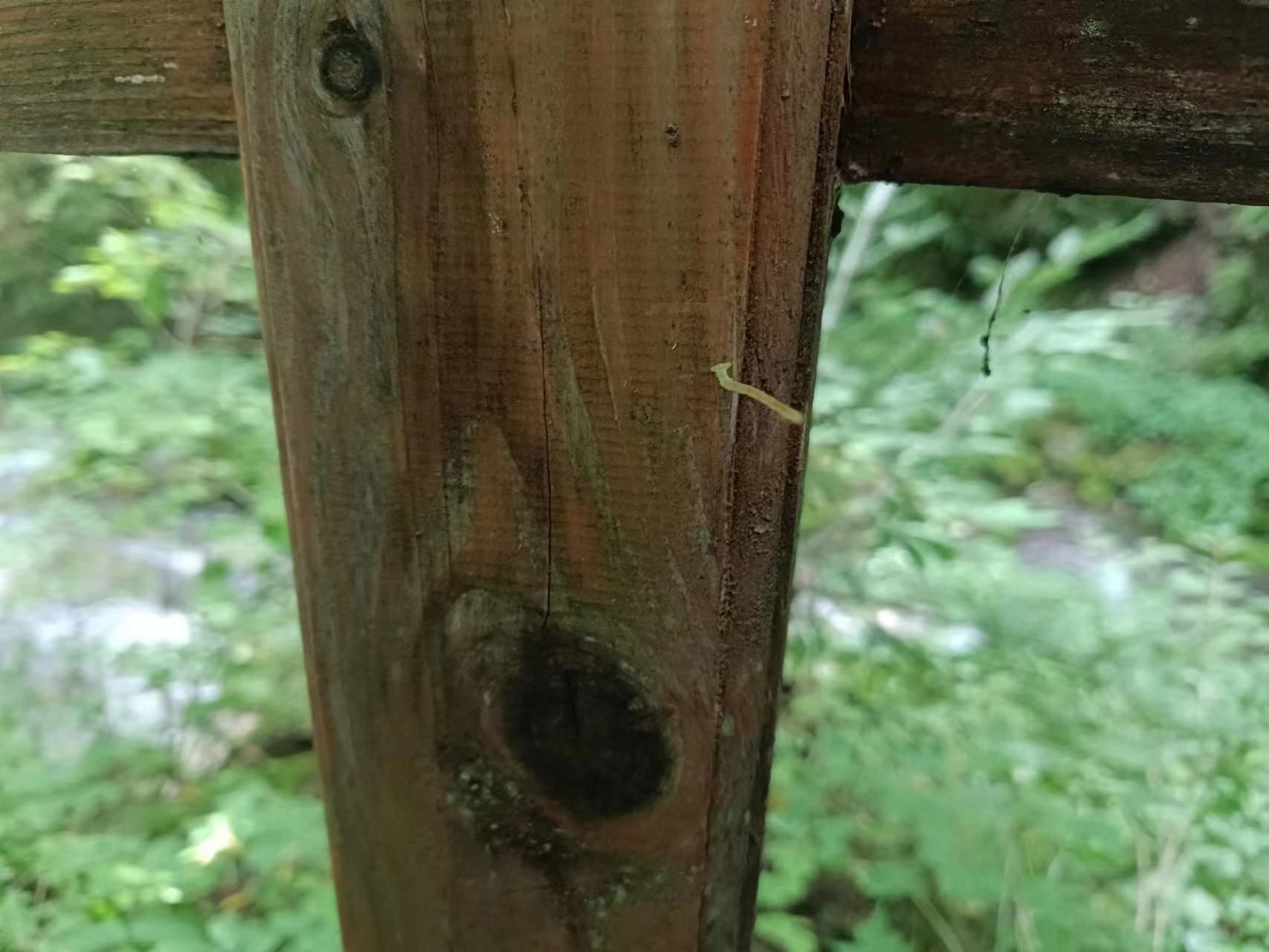 临江珍珠门风景区旅行图片 1