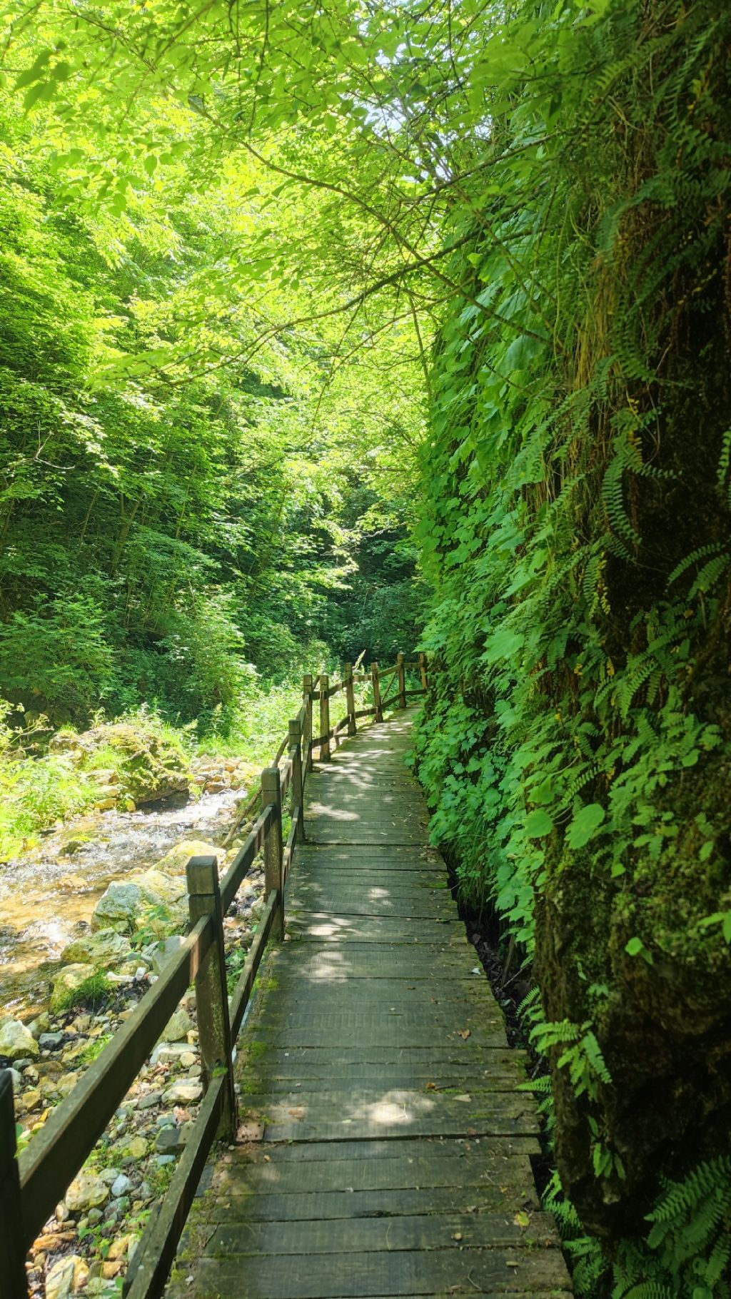 临江珍珠门风景区旅行图片 3