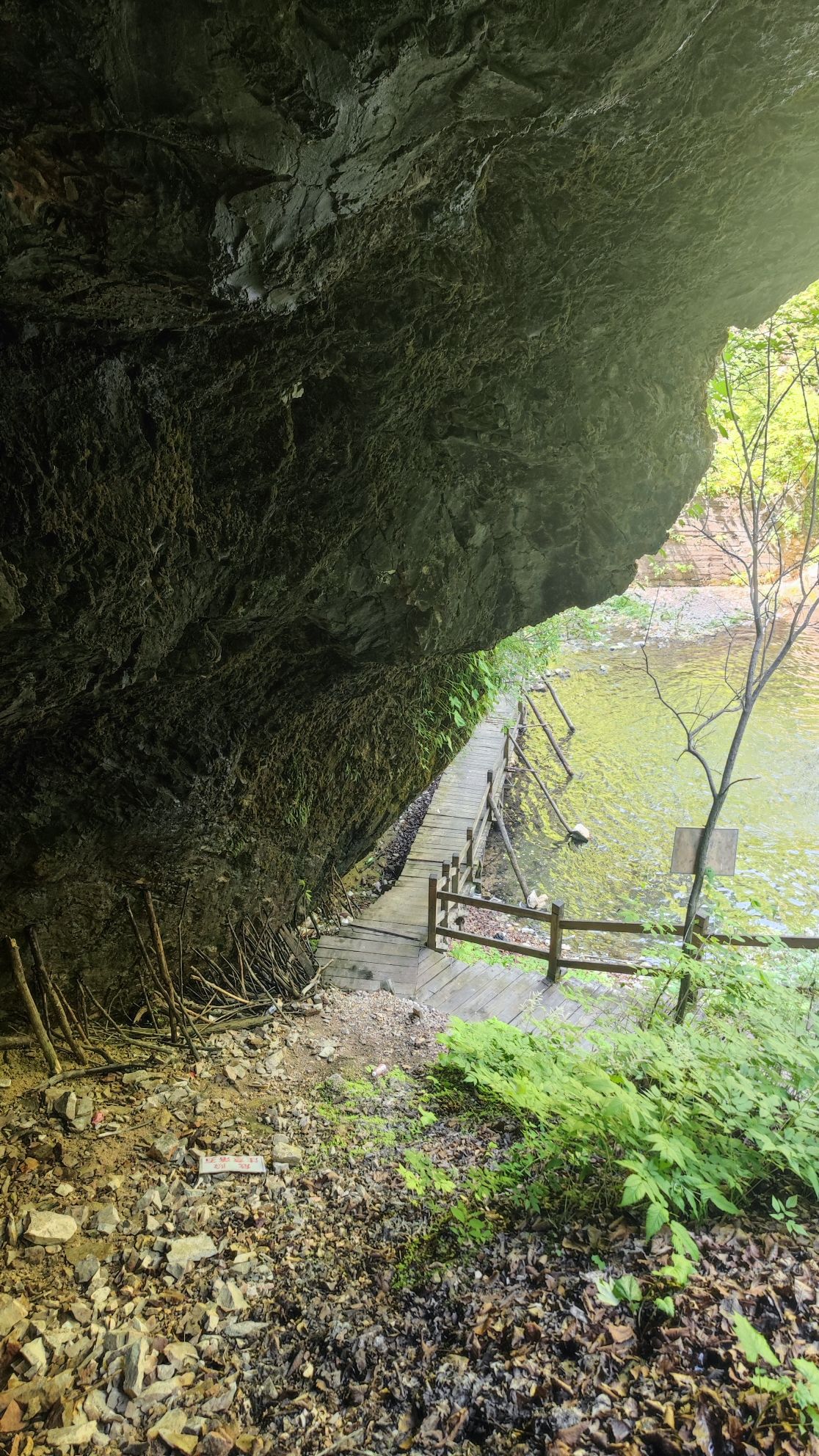 临江珍珠门风景区旅行图片 2