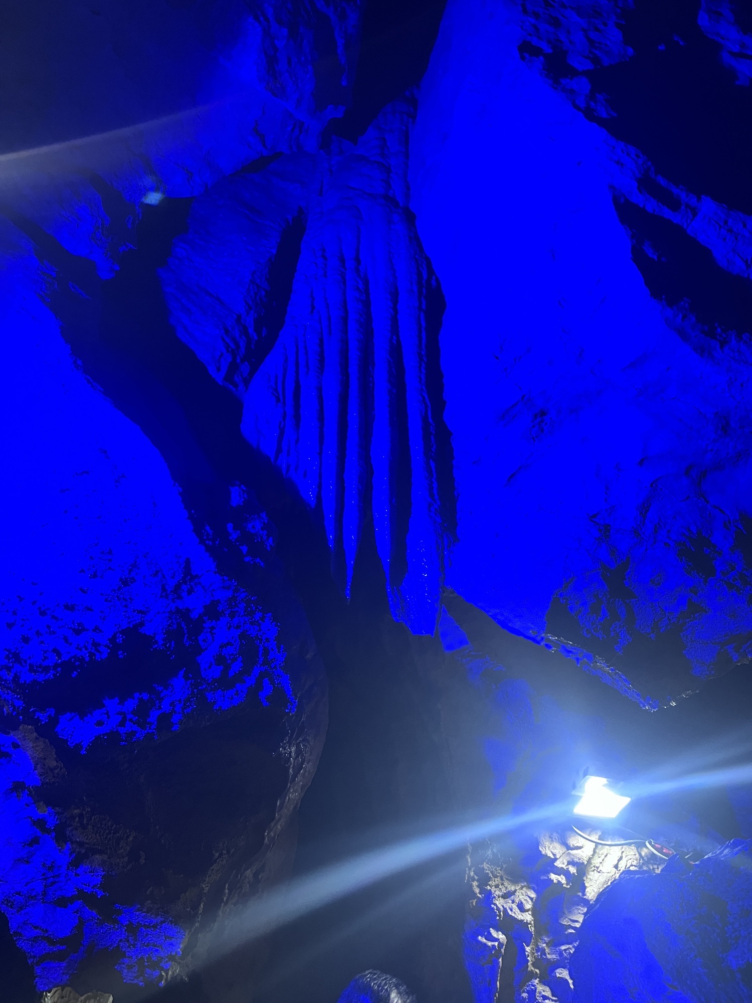 长白山迷宫(建设中)旅行图片 3