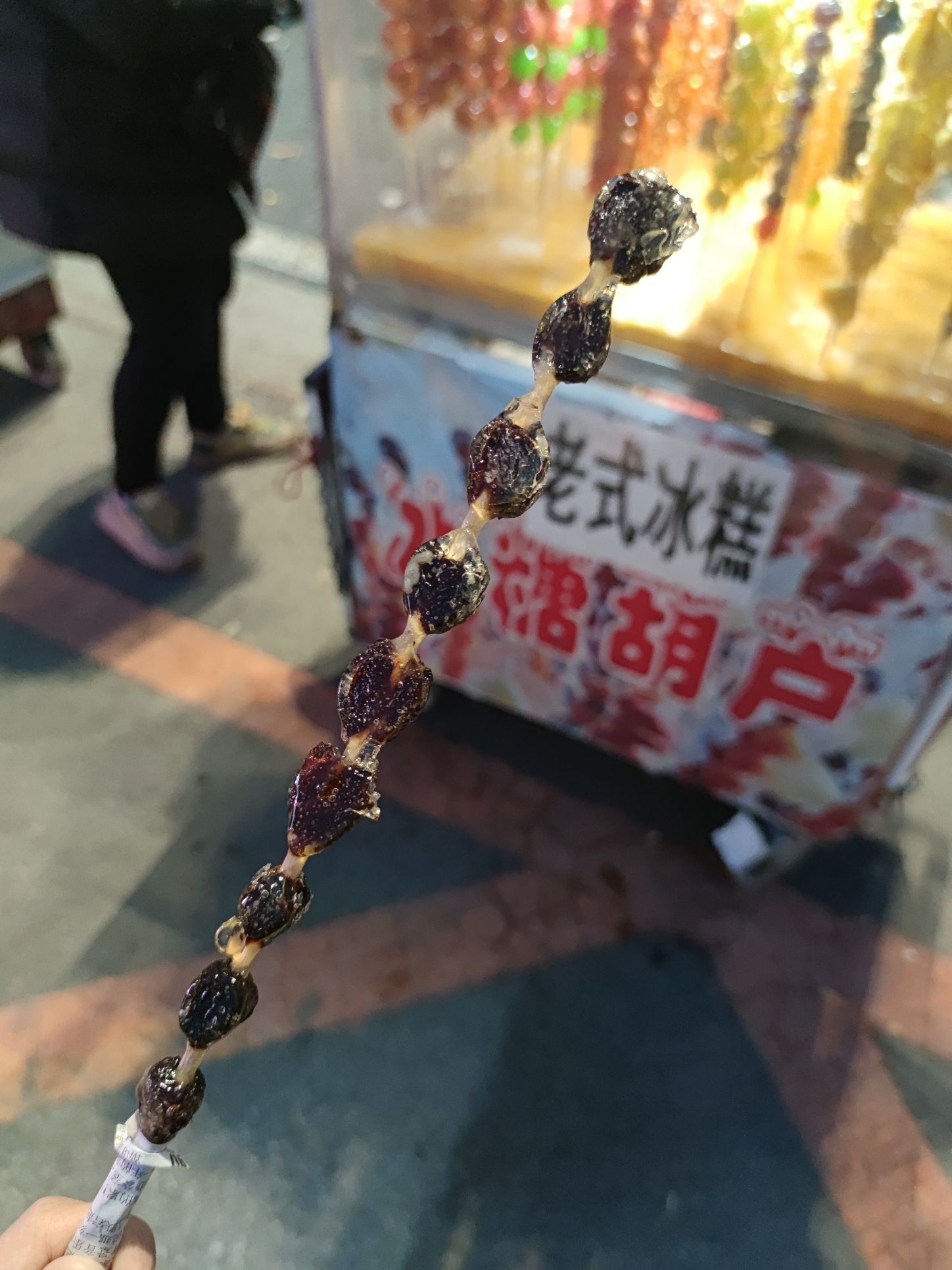 临江市江心岛陈云公园旅行图片 3