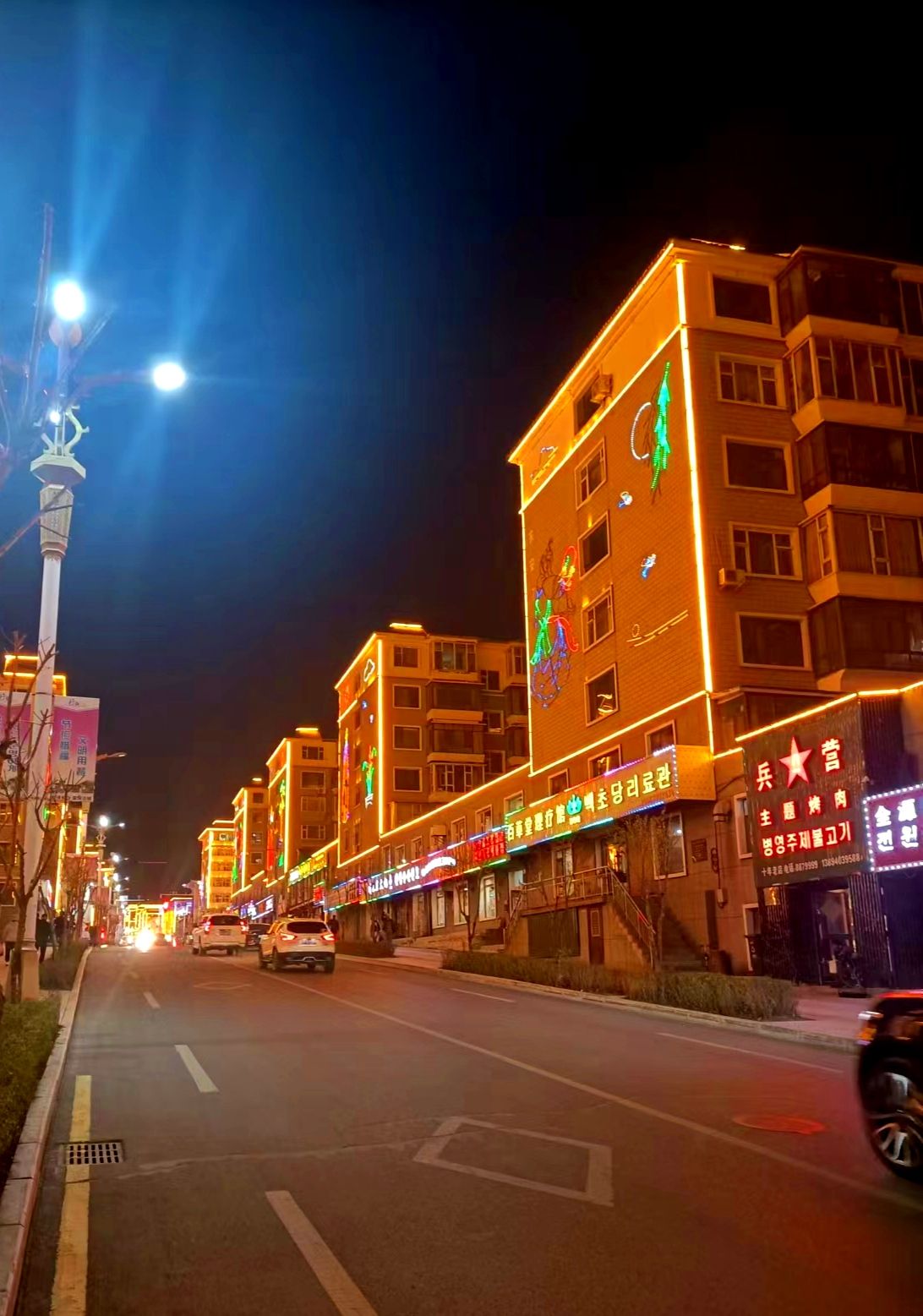 临江市江心岛陈云公园旅行图片 3