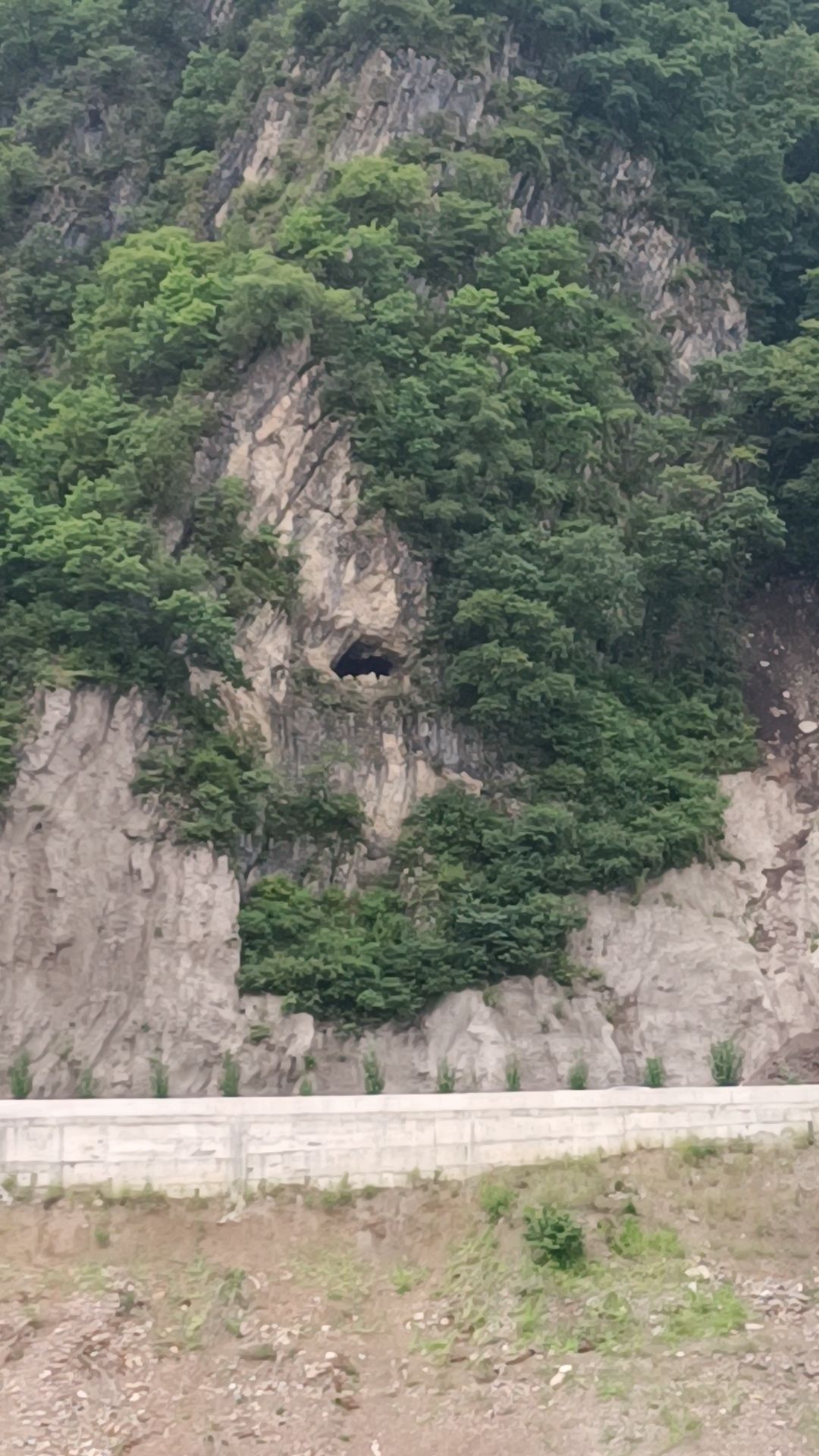吉林龙山湖国家森林公园旅行图片 1