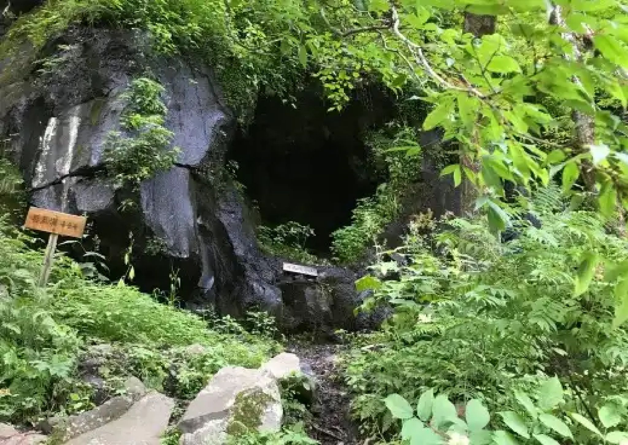 十五道沟望天鹅自然风景区(暂停开放)旅行图片 1