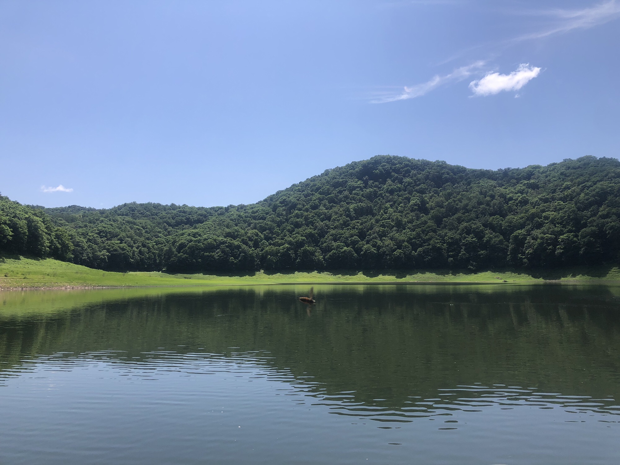 白山湖仁义风景区(暂停开放)旅行图片 3