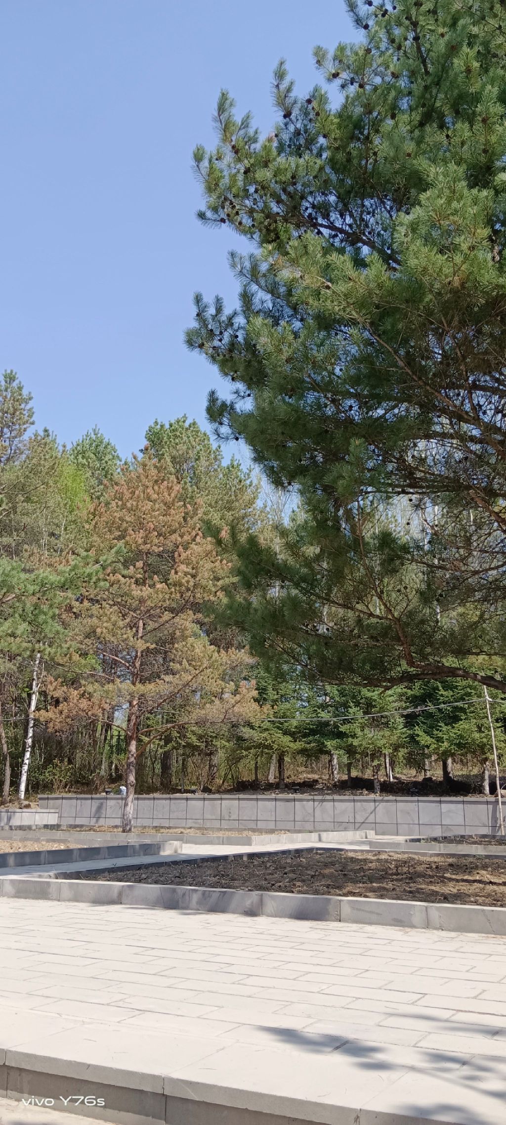 塔山公园旅行图片 1