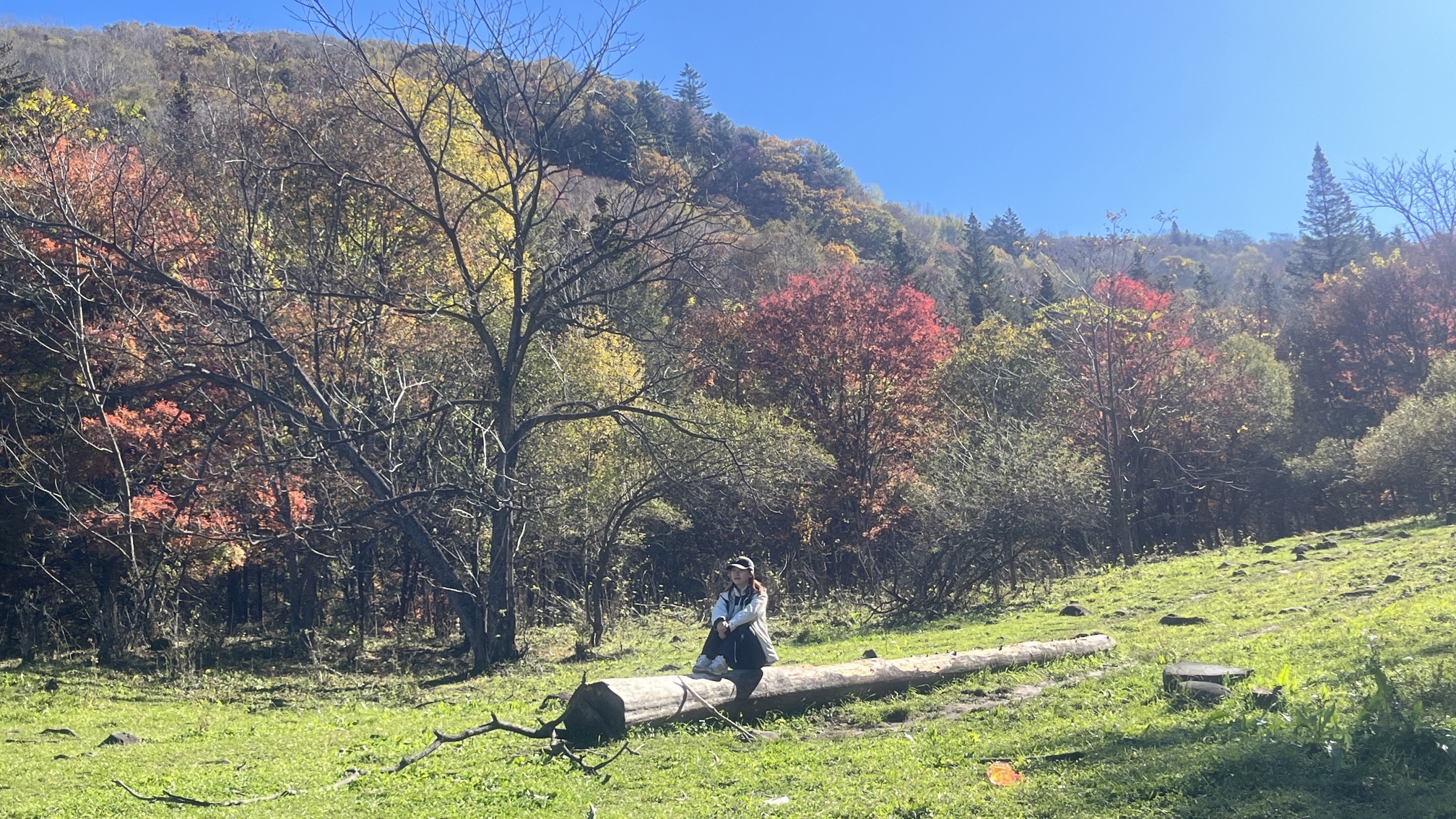 吉林干饭盆国家森林公园旅行图片 2