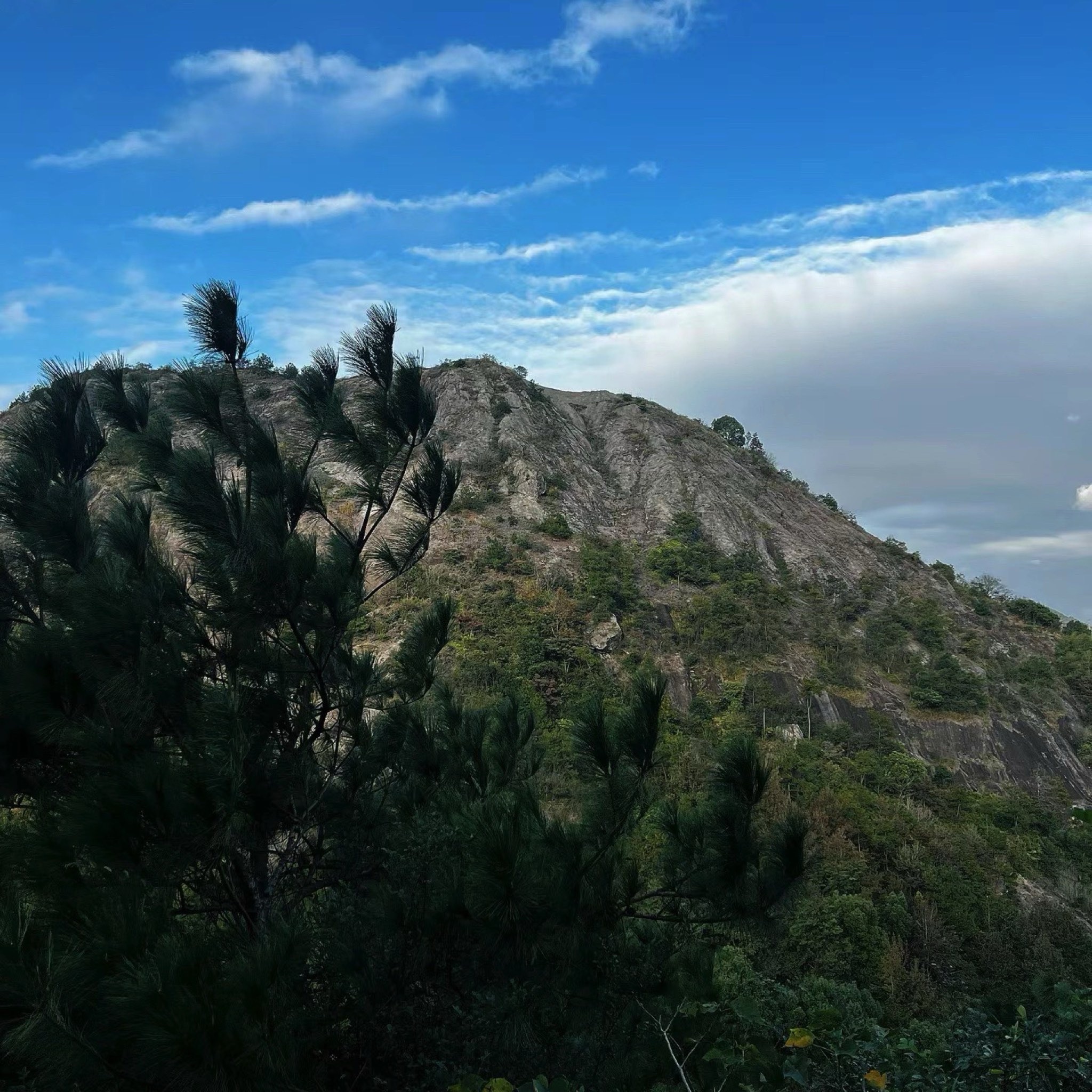 龙凤山国家森林公园旅行图片 1