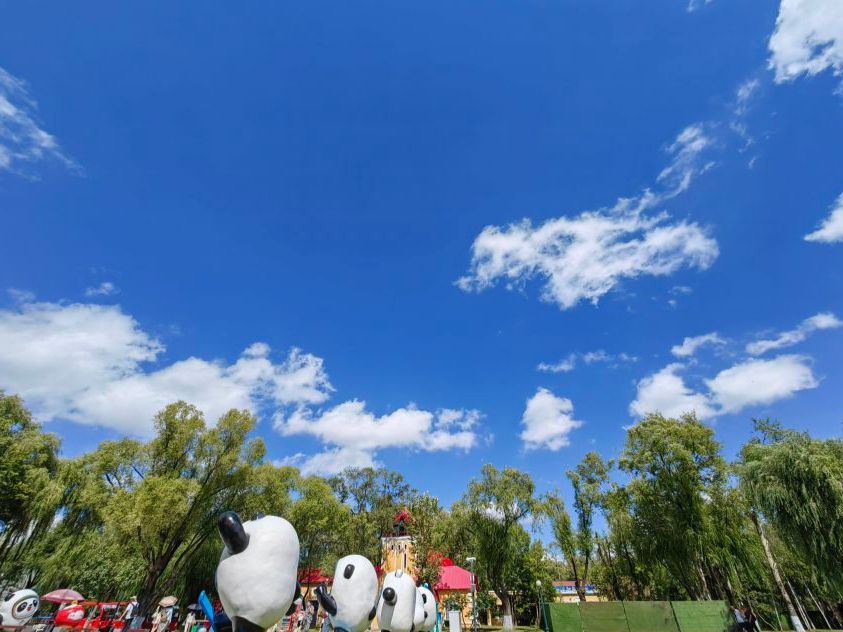太阳岛风景区旅行图片 2