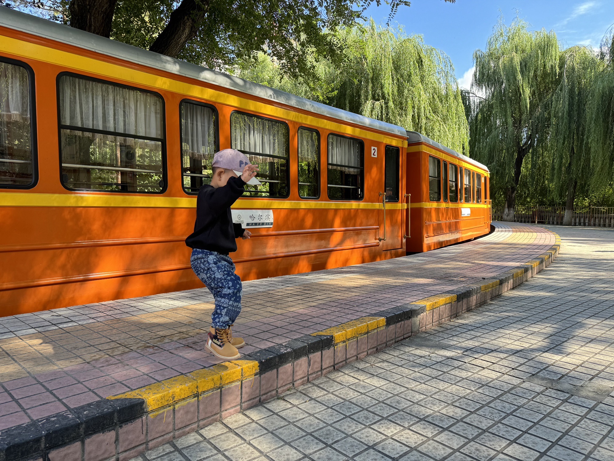 哈尔滨市儿童公园旅行图片 3