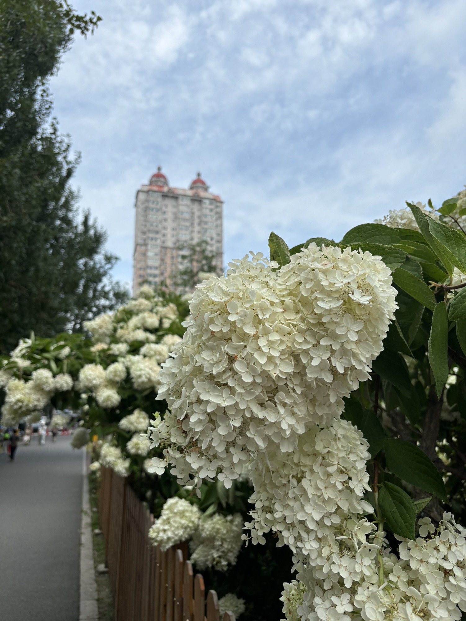 哈尔滨市儿童公园旅行图片 2