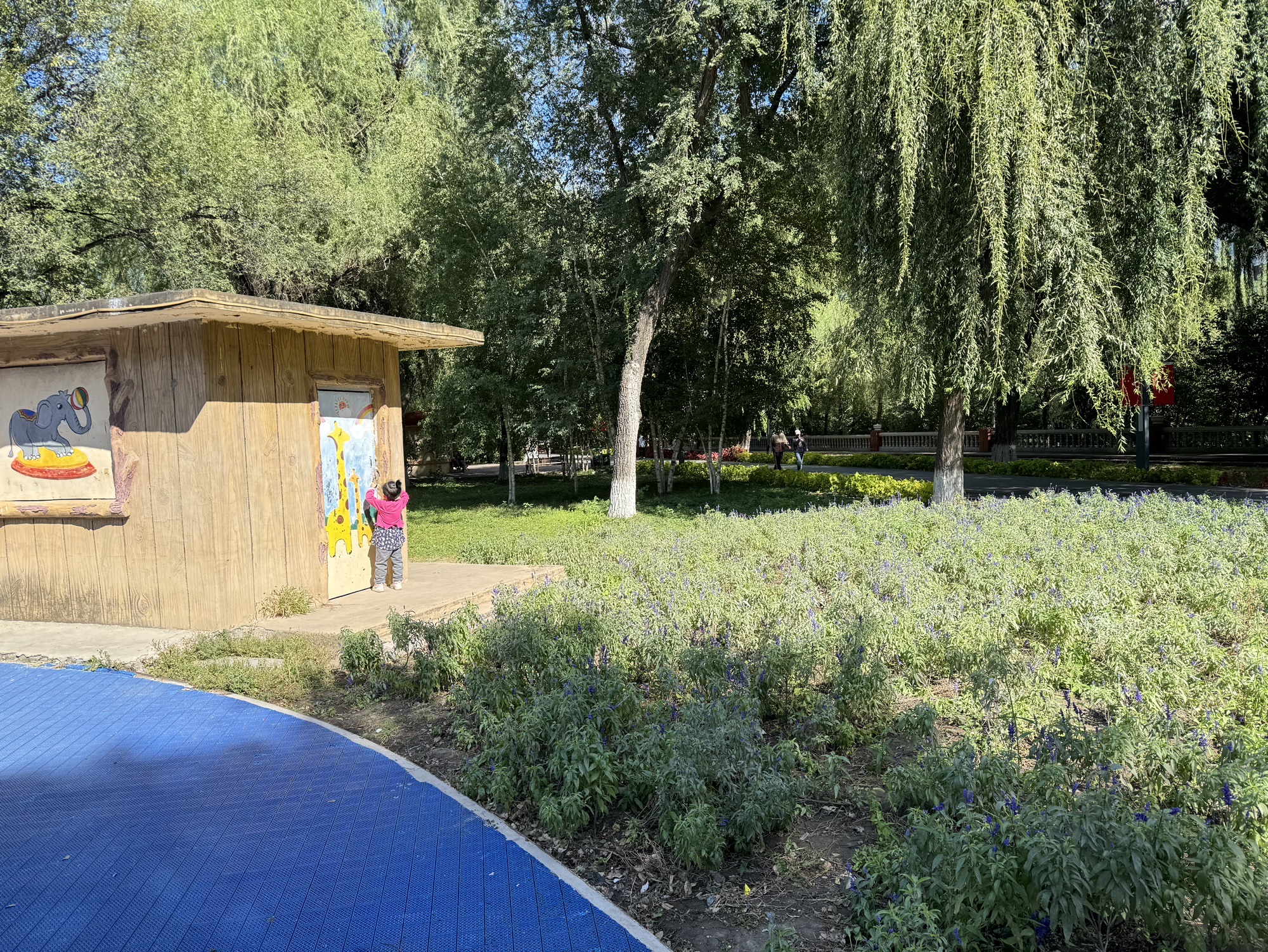 哈尔滨市儿童公园旅行图片 2