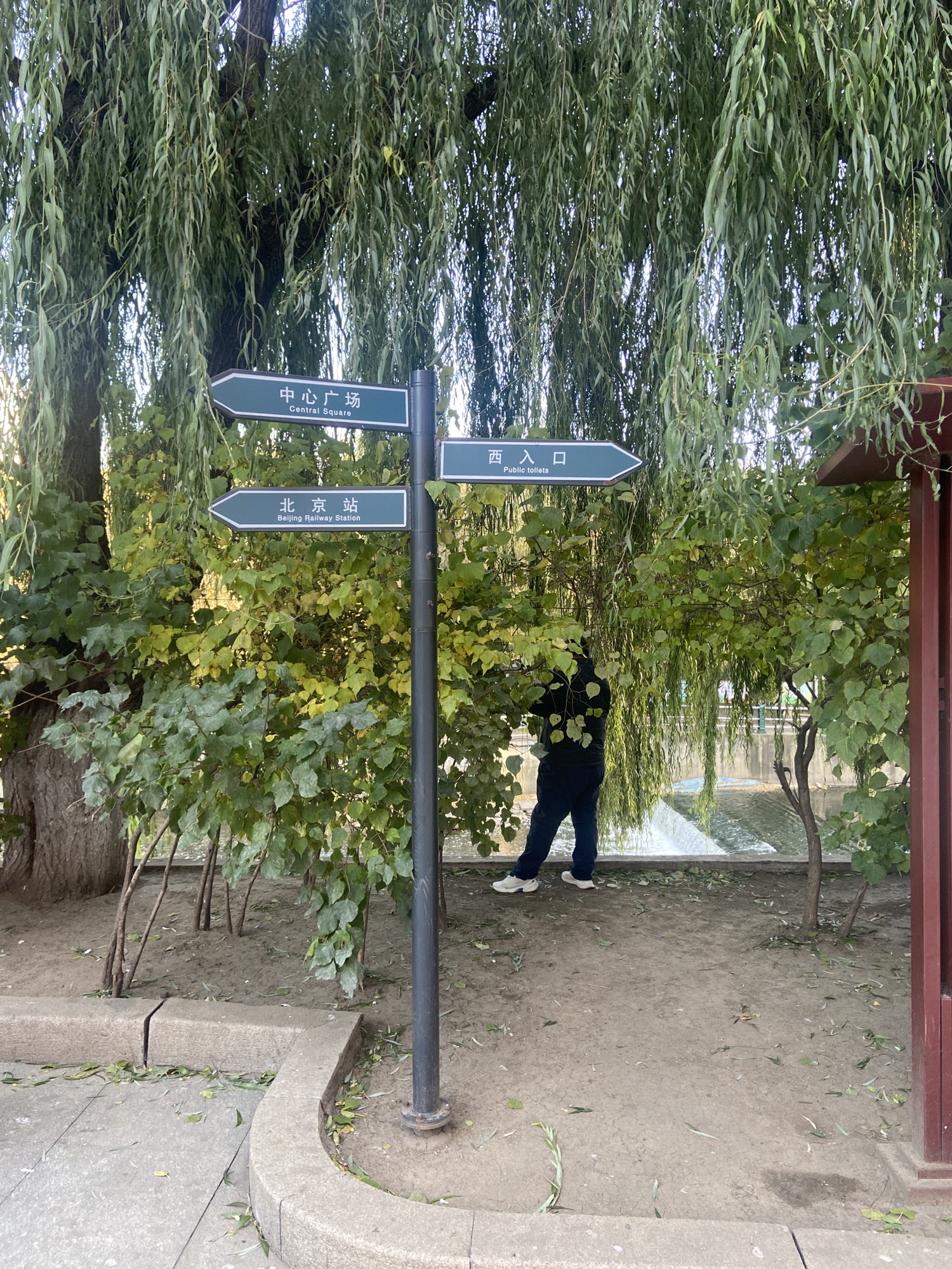 哈尔滨市儿童公园旅行图片 2