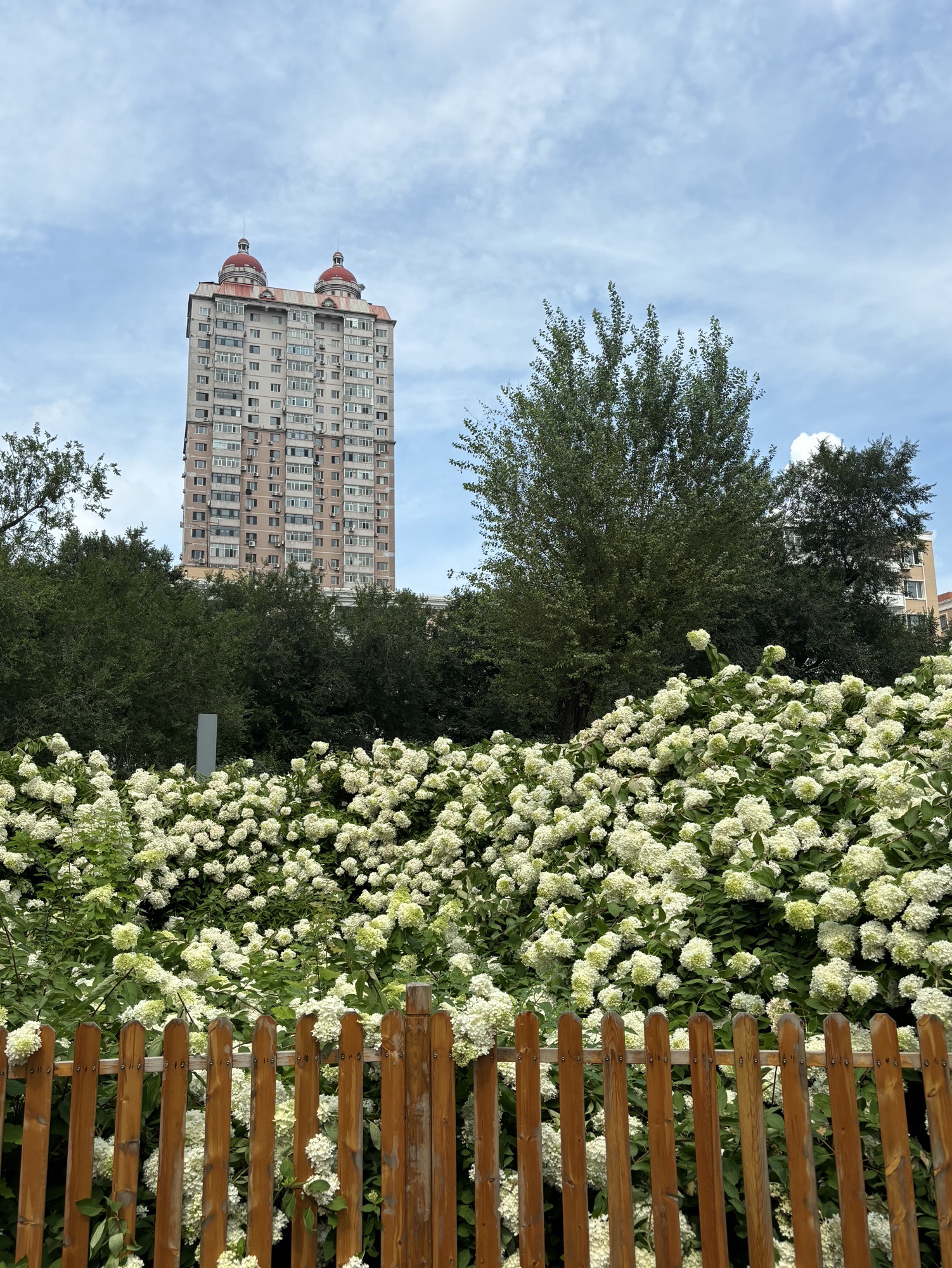 哈尔滨市儿童公园旅行图片 1
