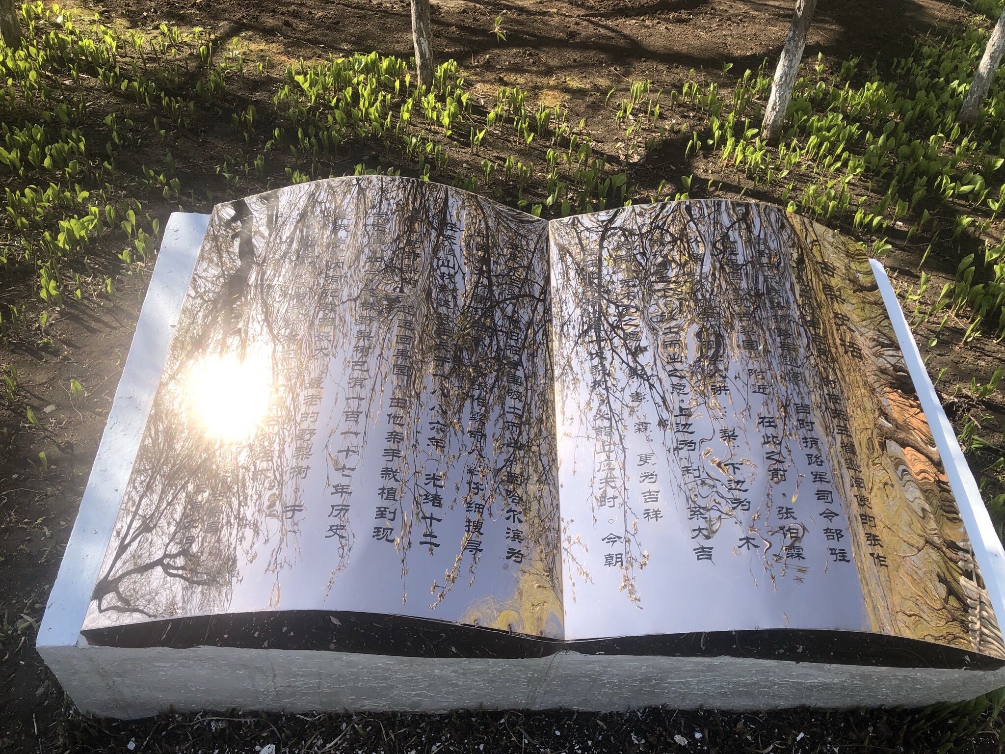 哈尔滨市道外区古梨园旅行图片 2