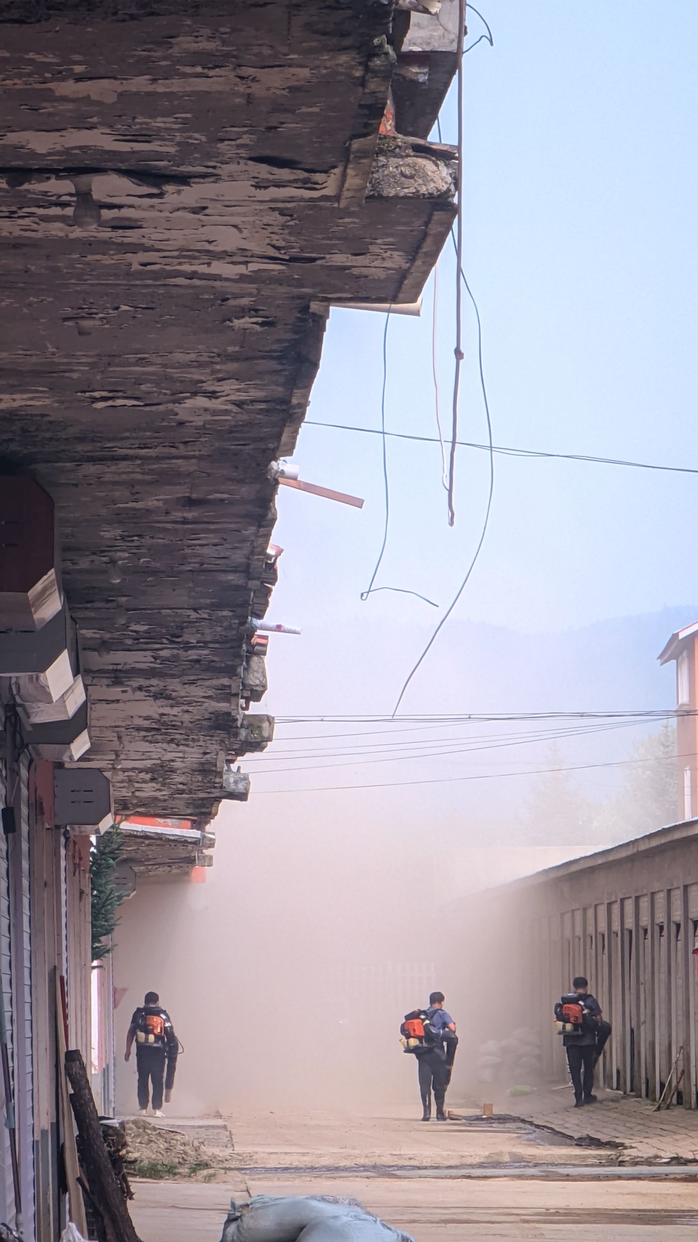 林茂广场旅行图片 1