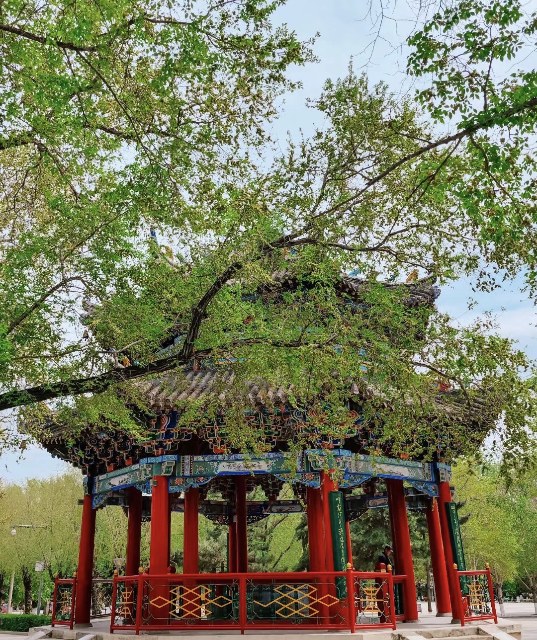 西岗公园旅行图片 2