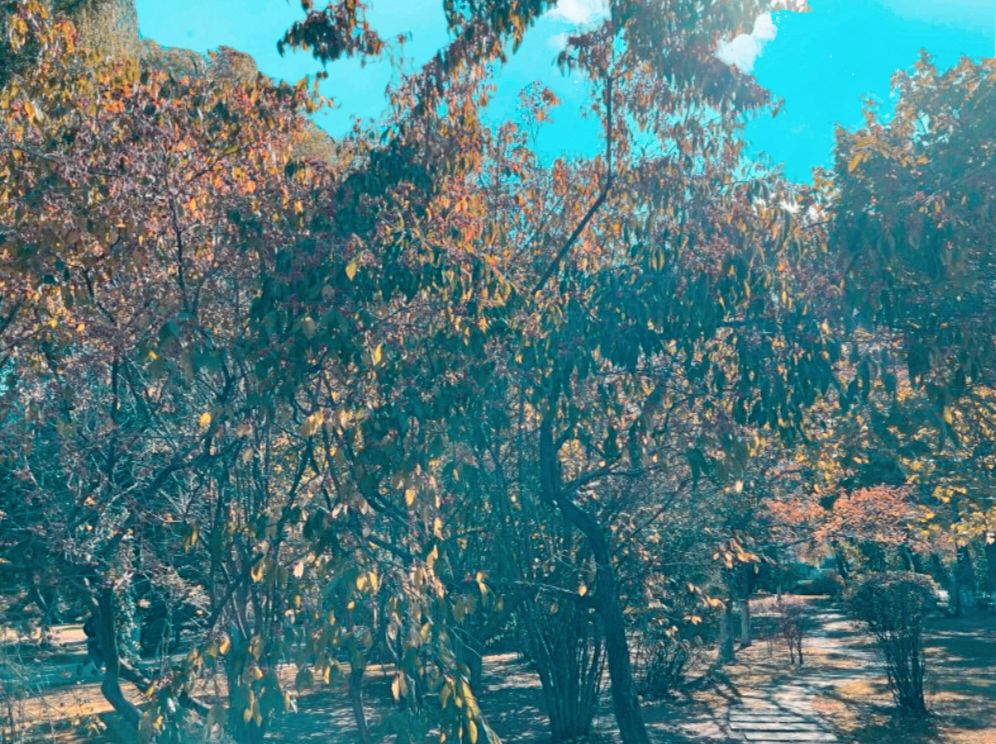靖宇公园旅行图片 1