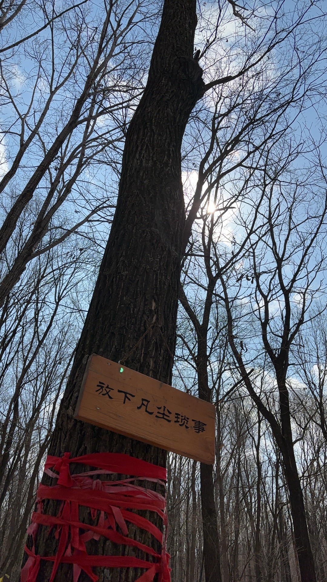 松峰山景区旅行图片 3