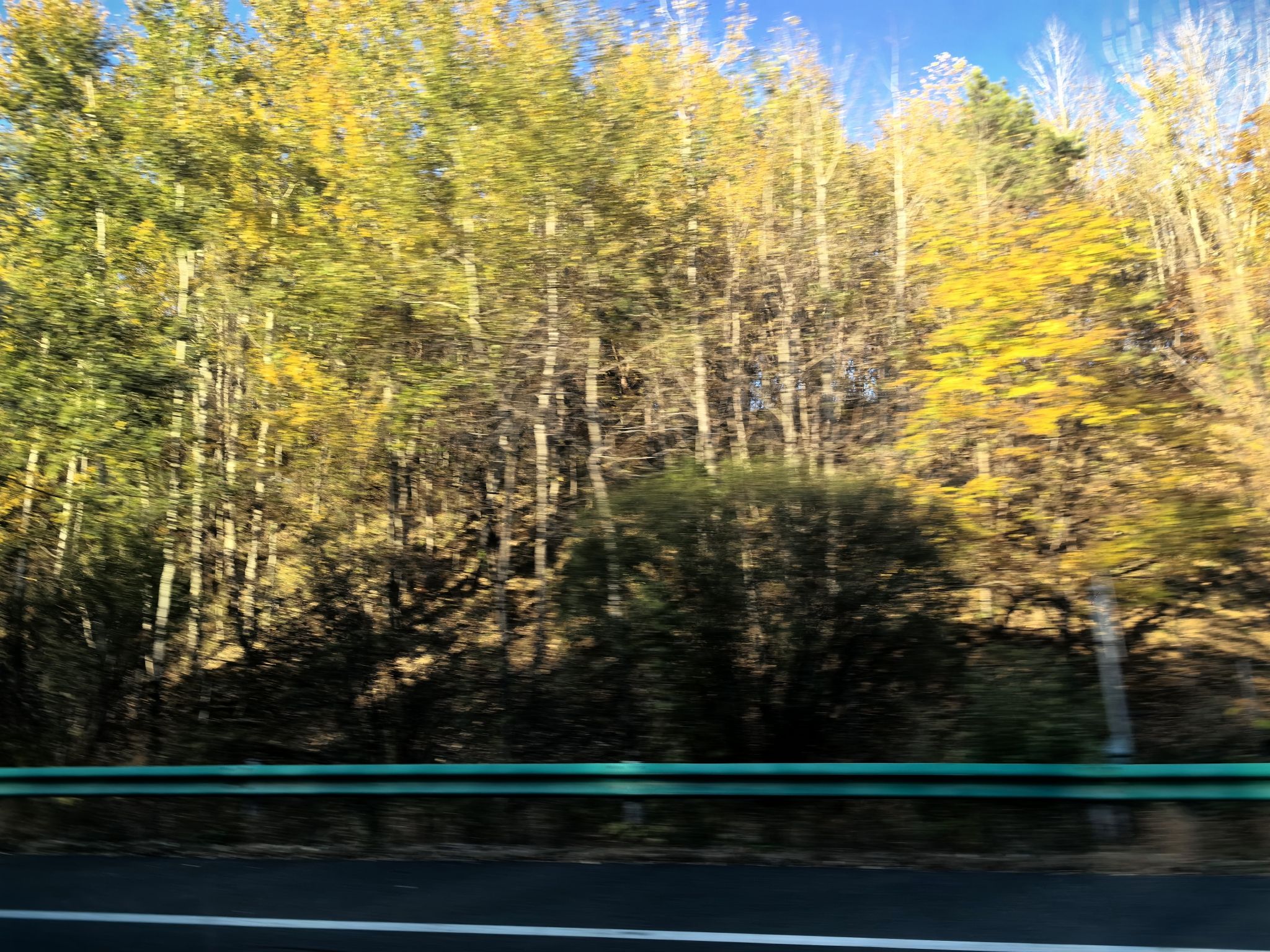 石咀山公园旅行图片 3