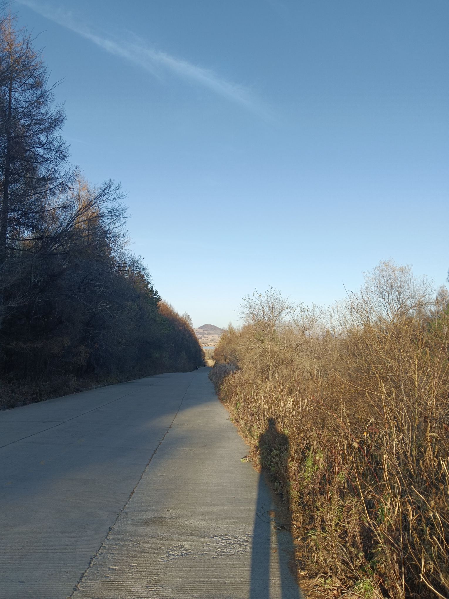石咀山公园旅行图片 2