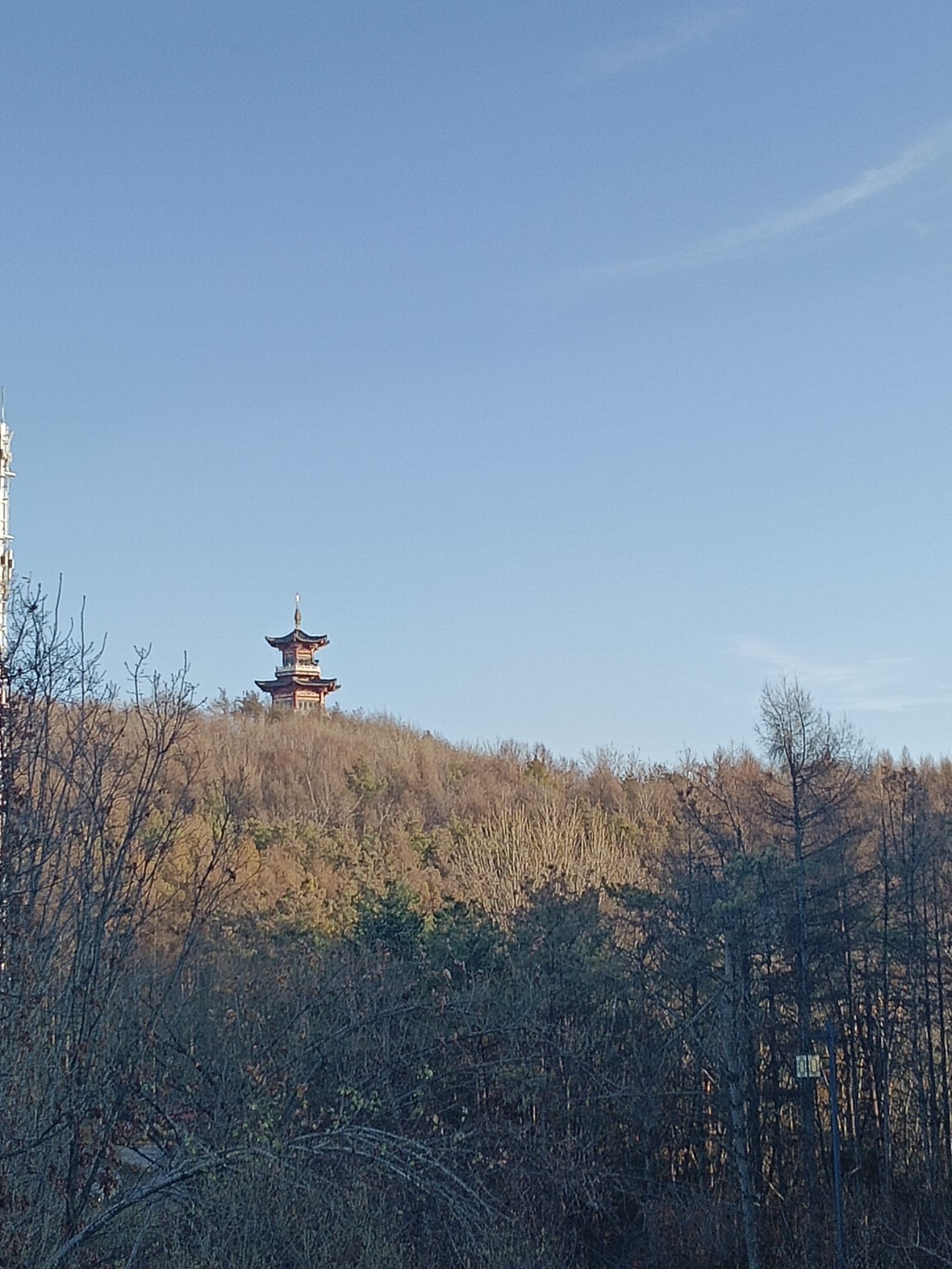 石咀山公园旅行图片 3
