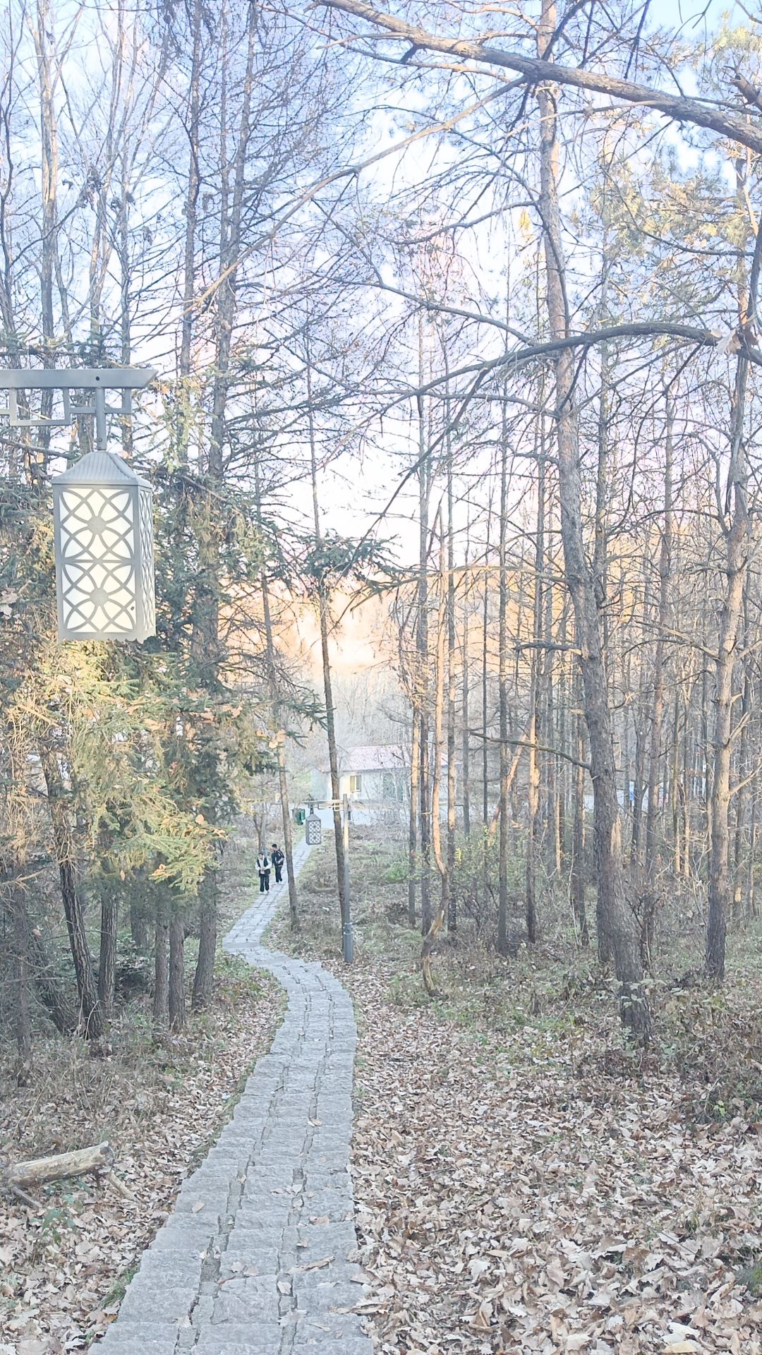 石咀山公园旅行图片 1