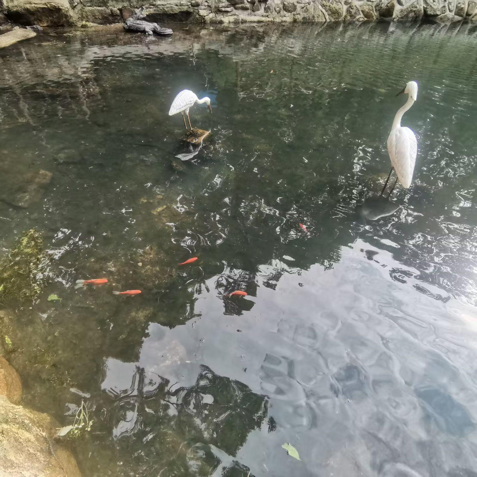 铧子山景区旅行图片 3