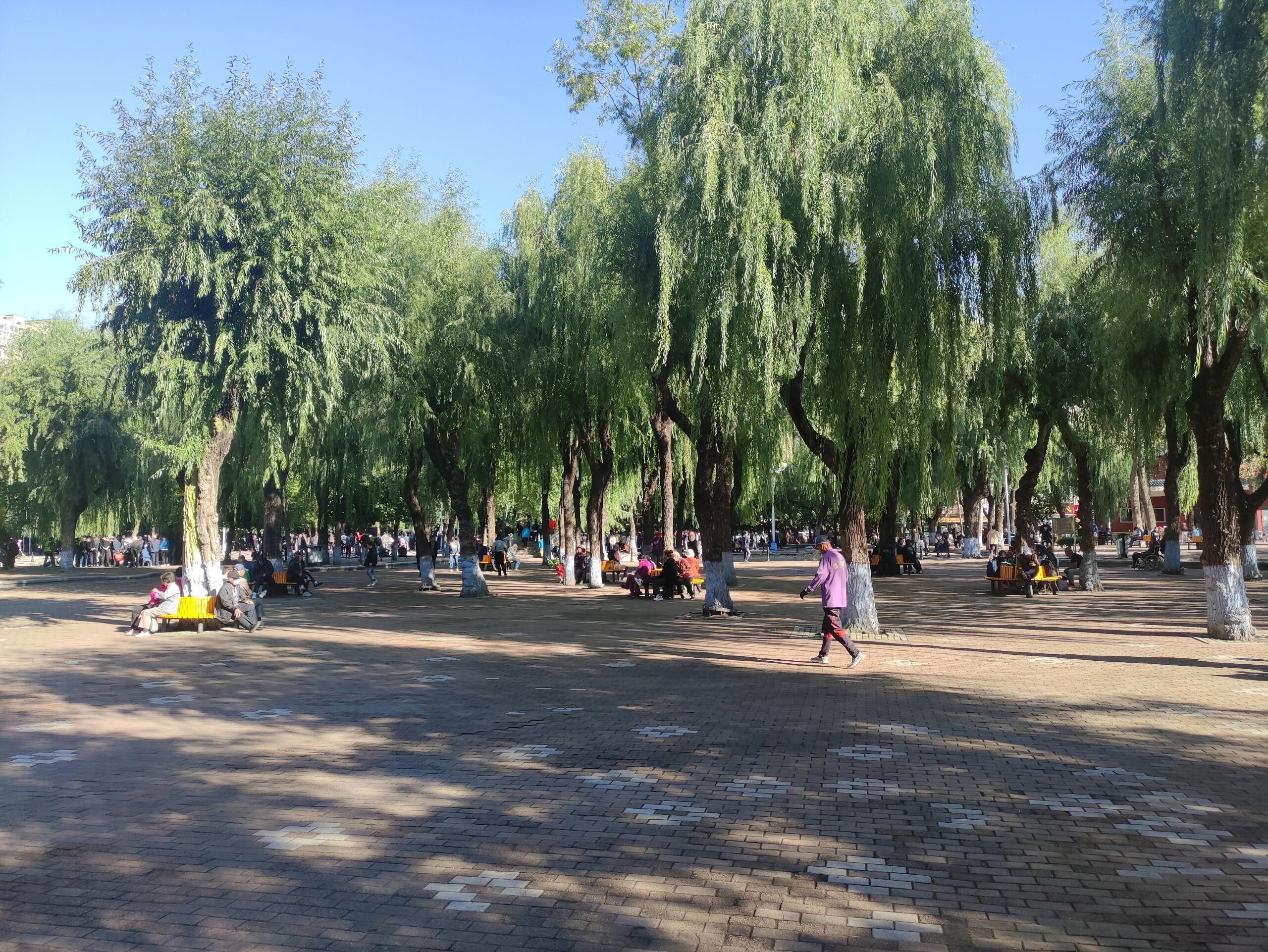 建国公园旅行图片 3