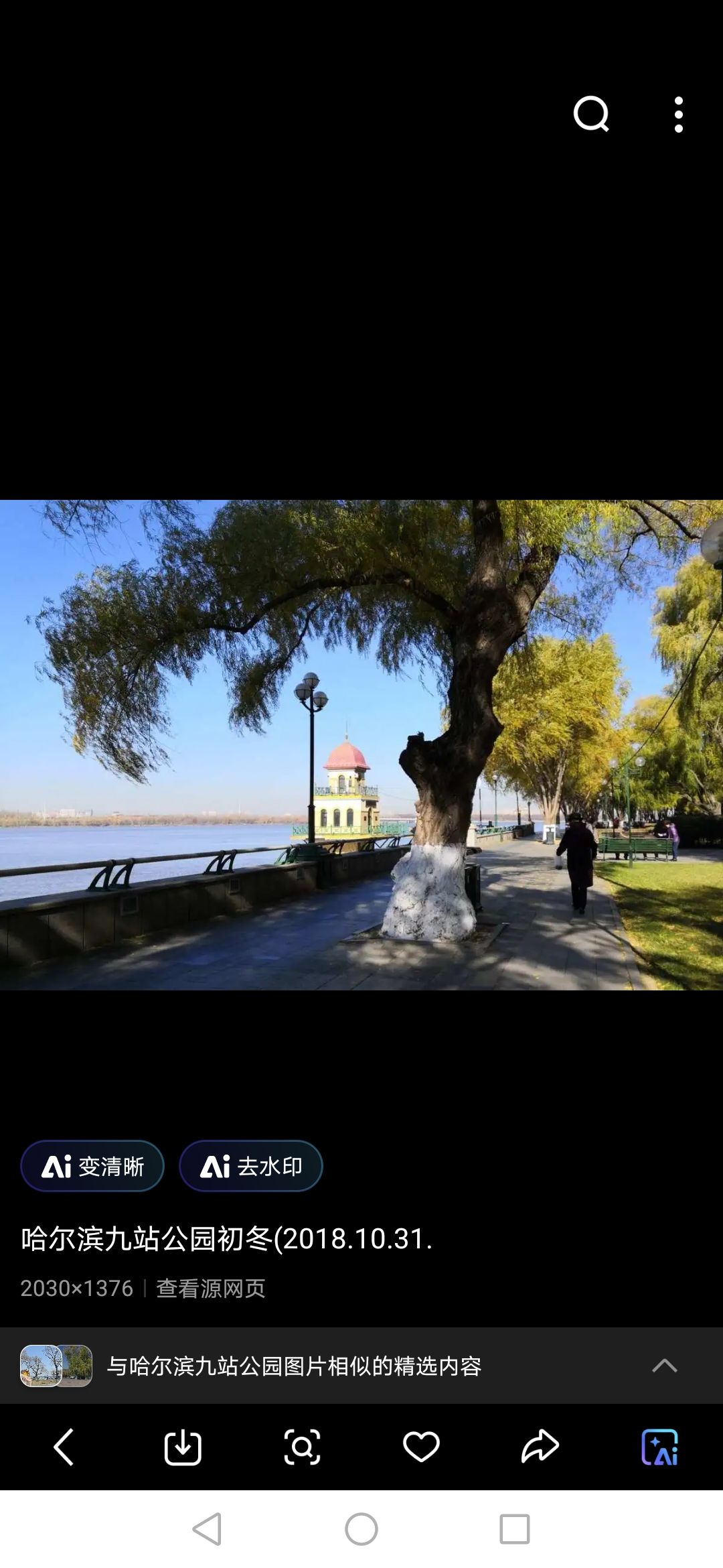 九站公园旅行图片 2