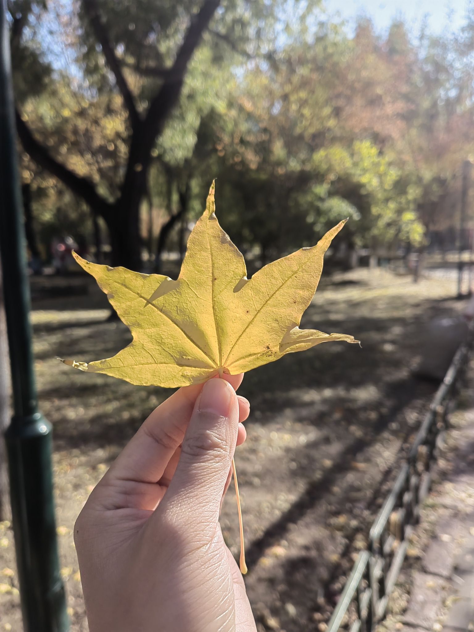 尚志公园旅行图片 1
