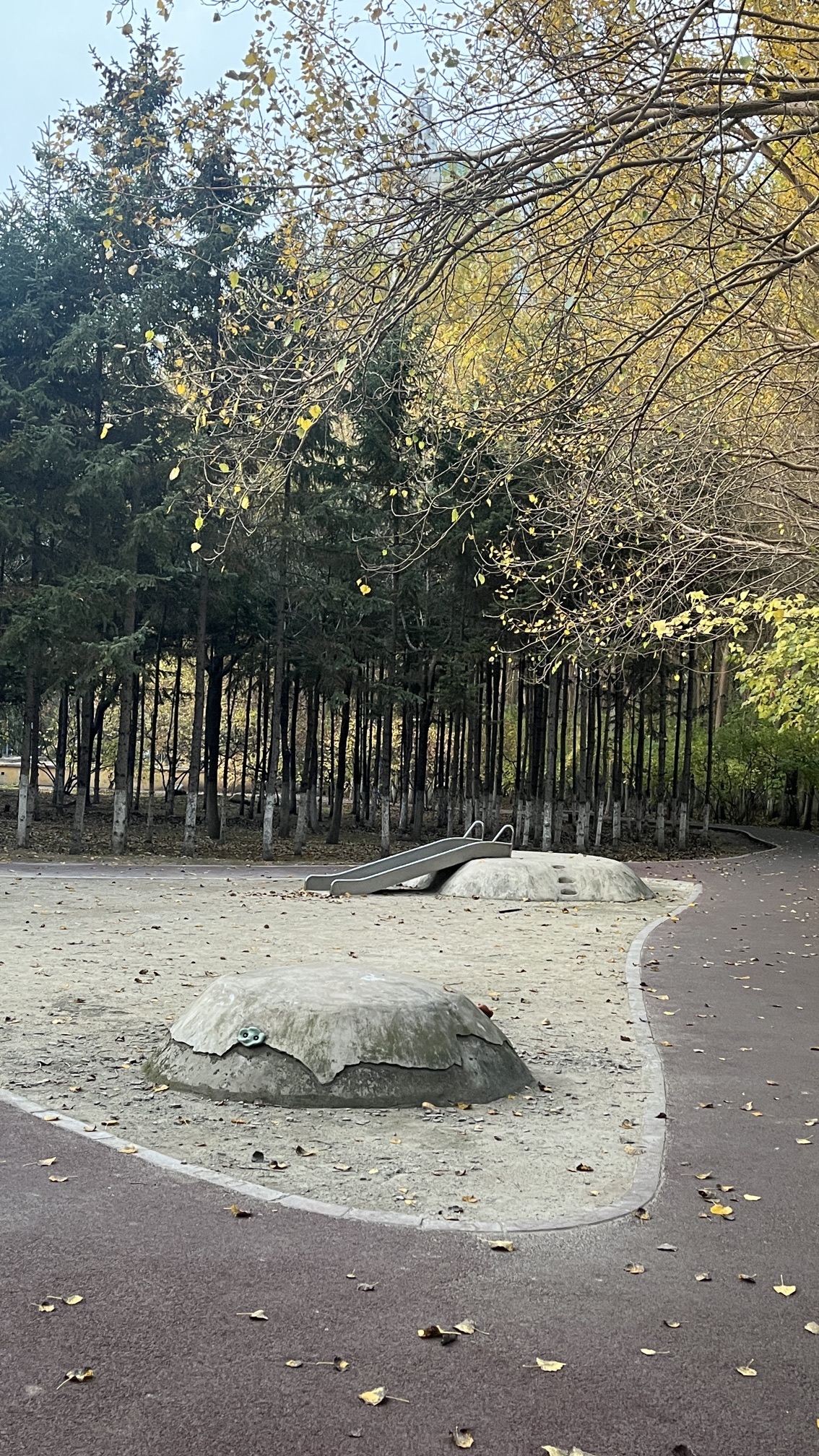 尚志公园旅行图片 1