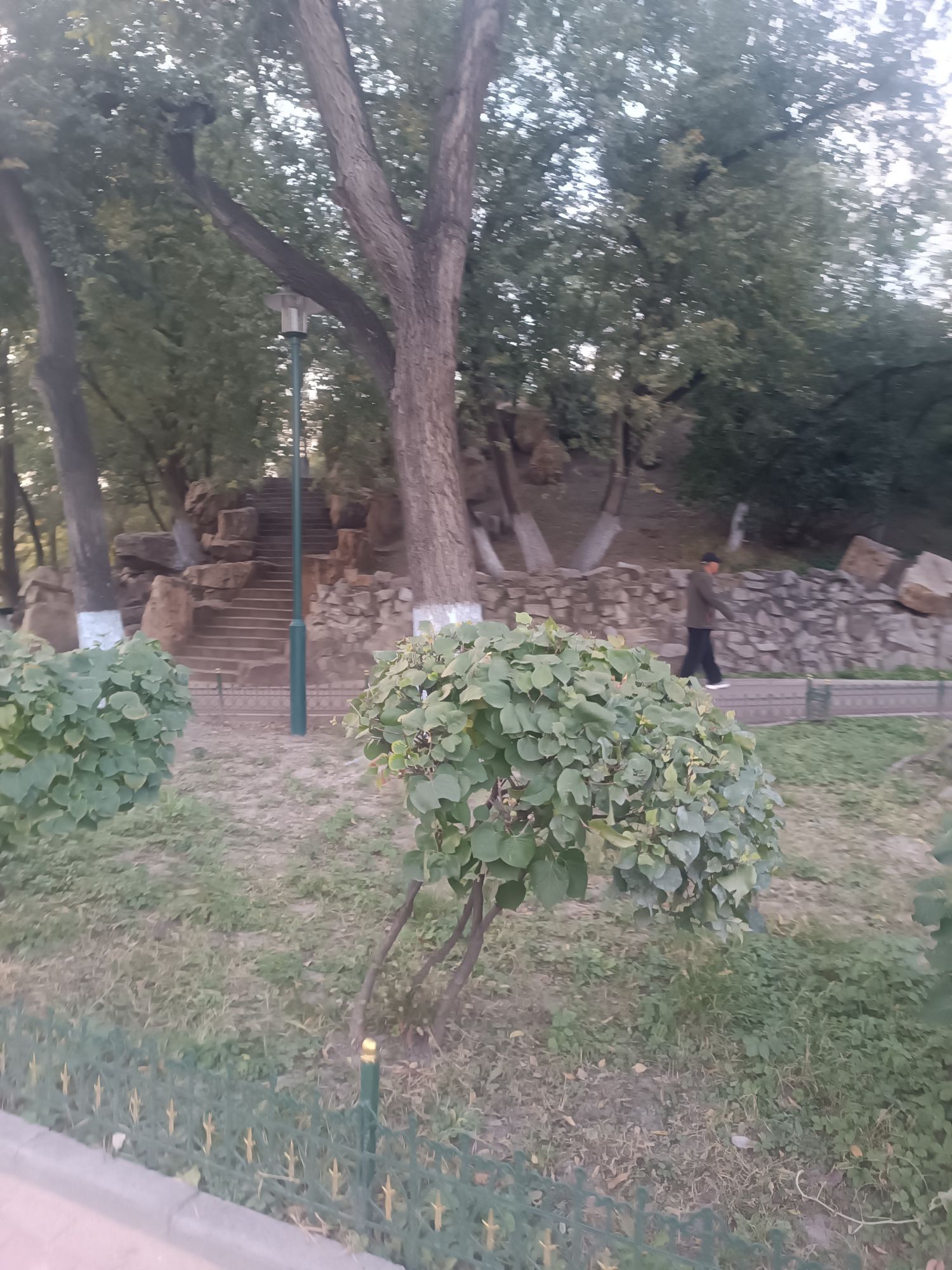 尚志公园旅行图片 1