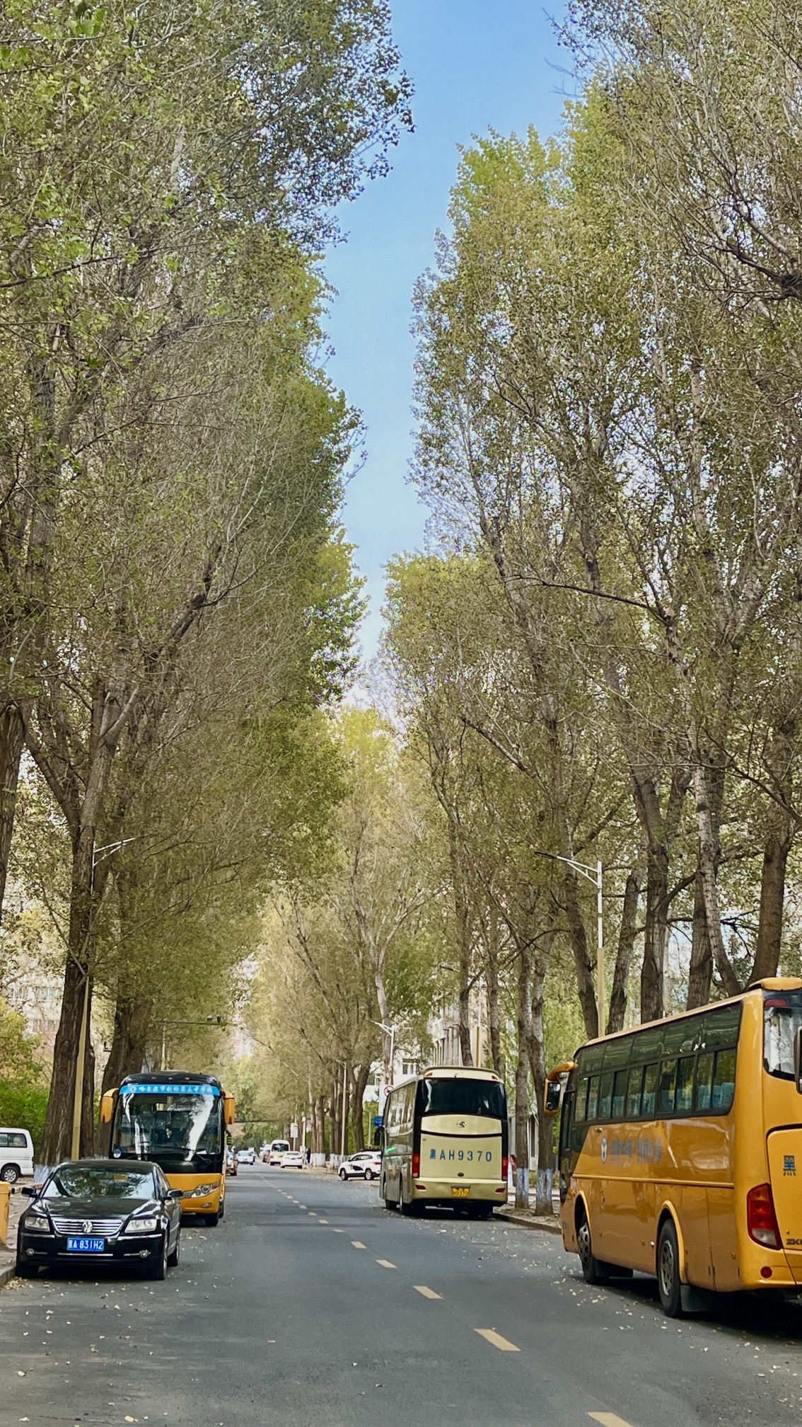 尚志公园旅行图片 3