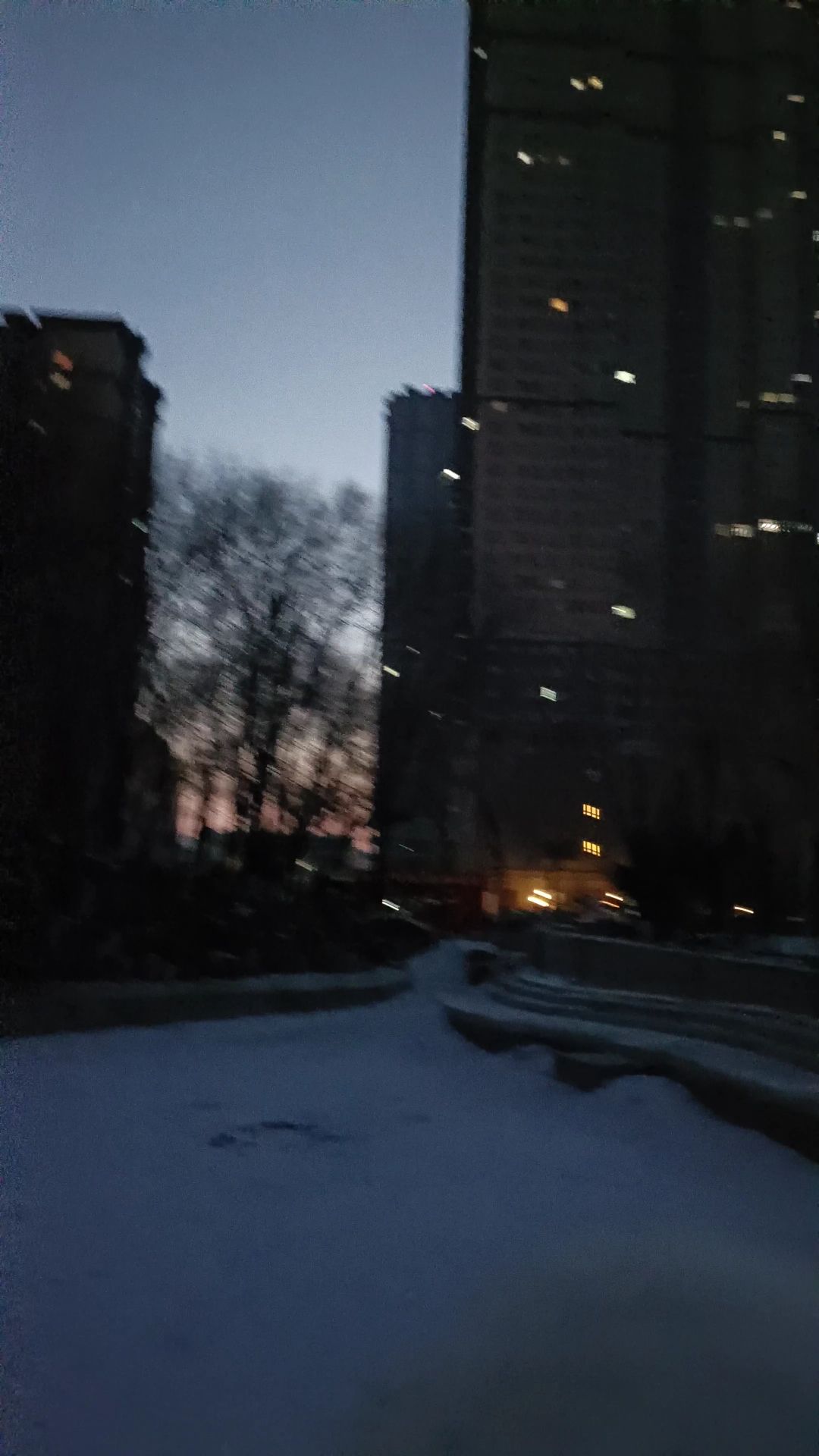 太平公园旅行图片 3