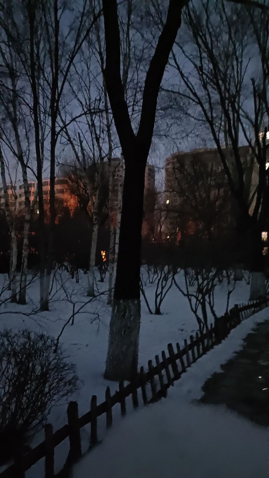 太平公园旅行图片 1
