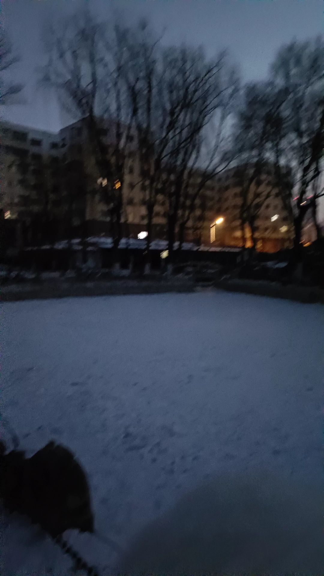 太平公园旅行图片 2