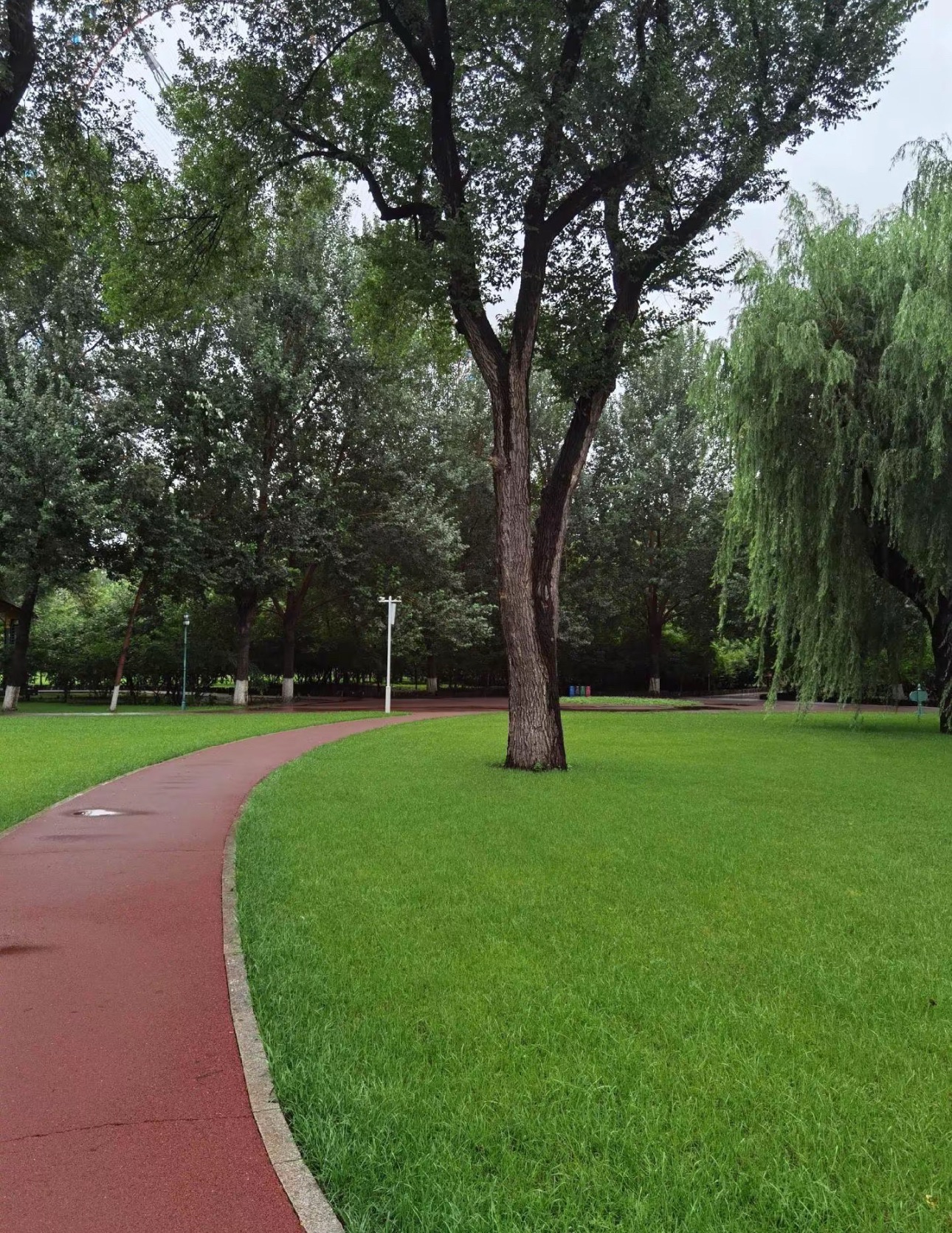 哈尔滨文化公园旅行图片 2
